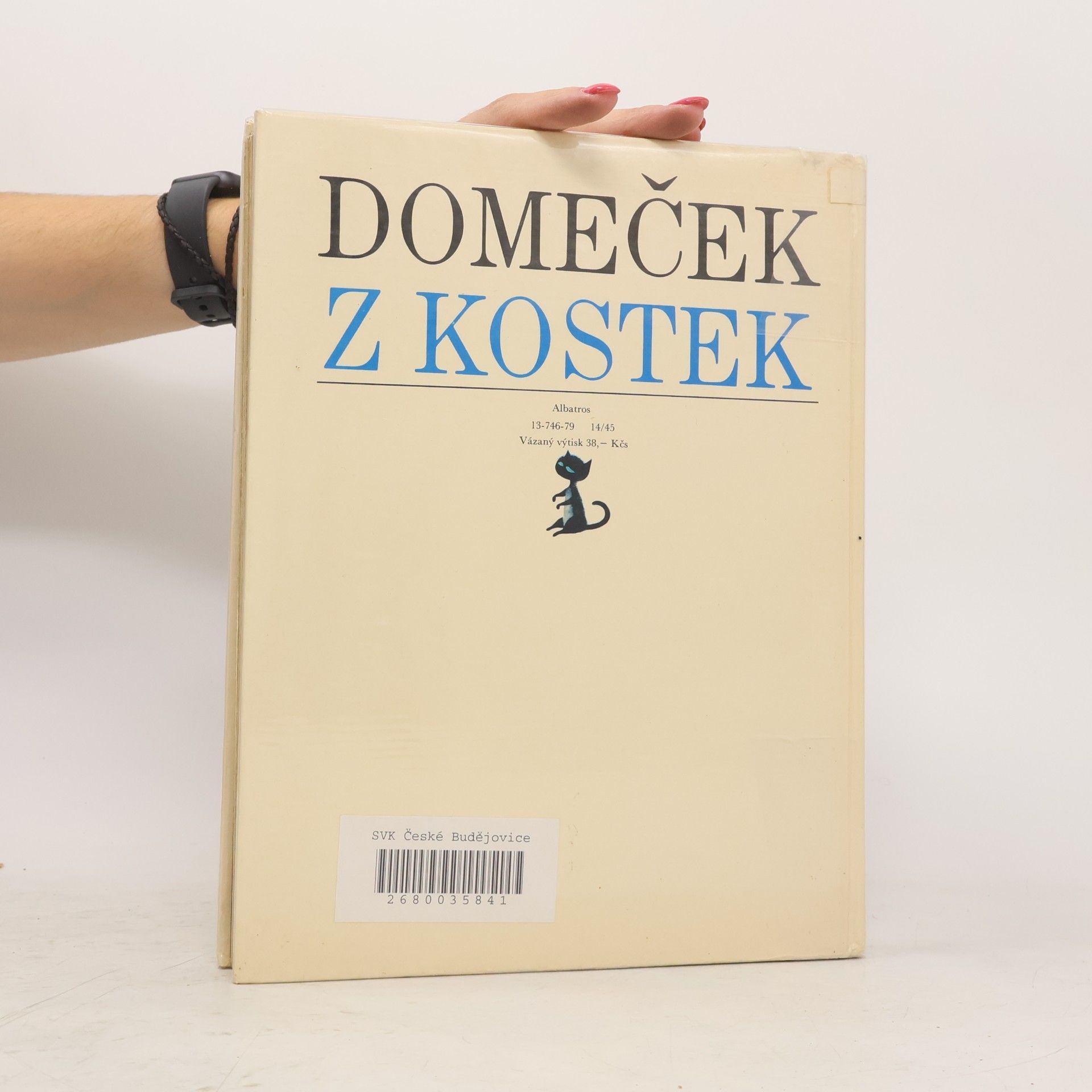 Autores varios Domeček z kostek