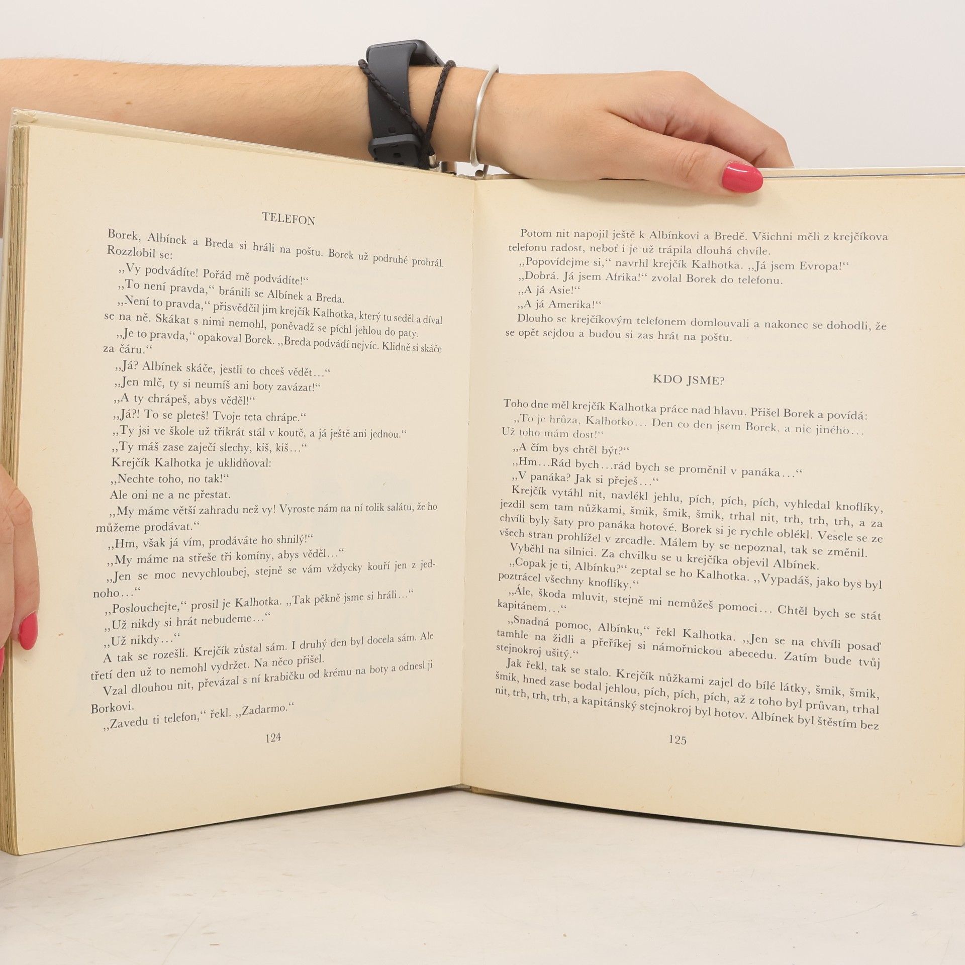 Autores varios Domeček z kostek