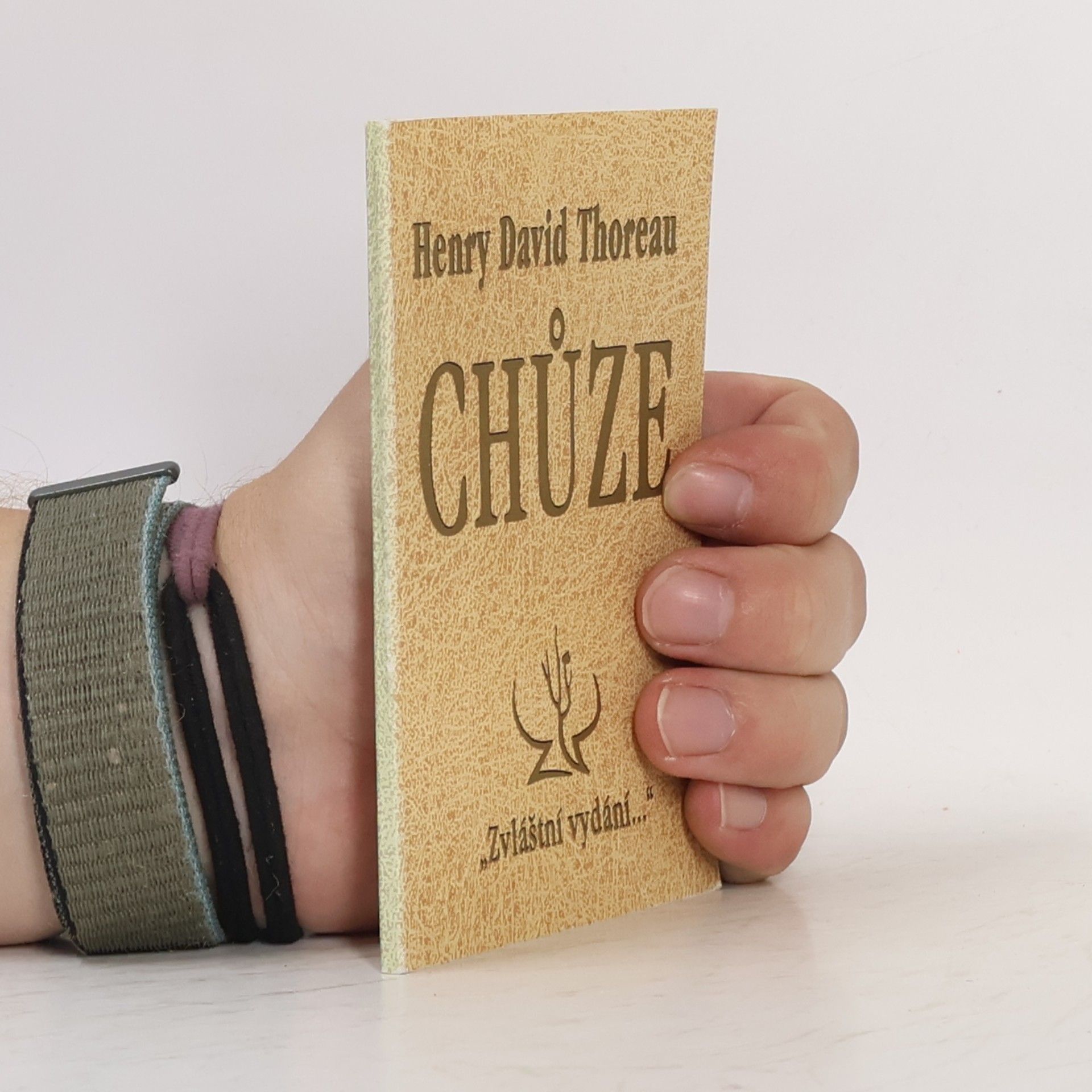 Henry David Thoreau Chůze