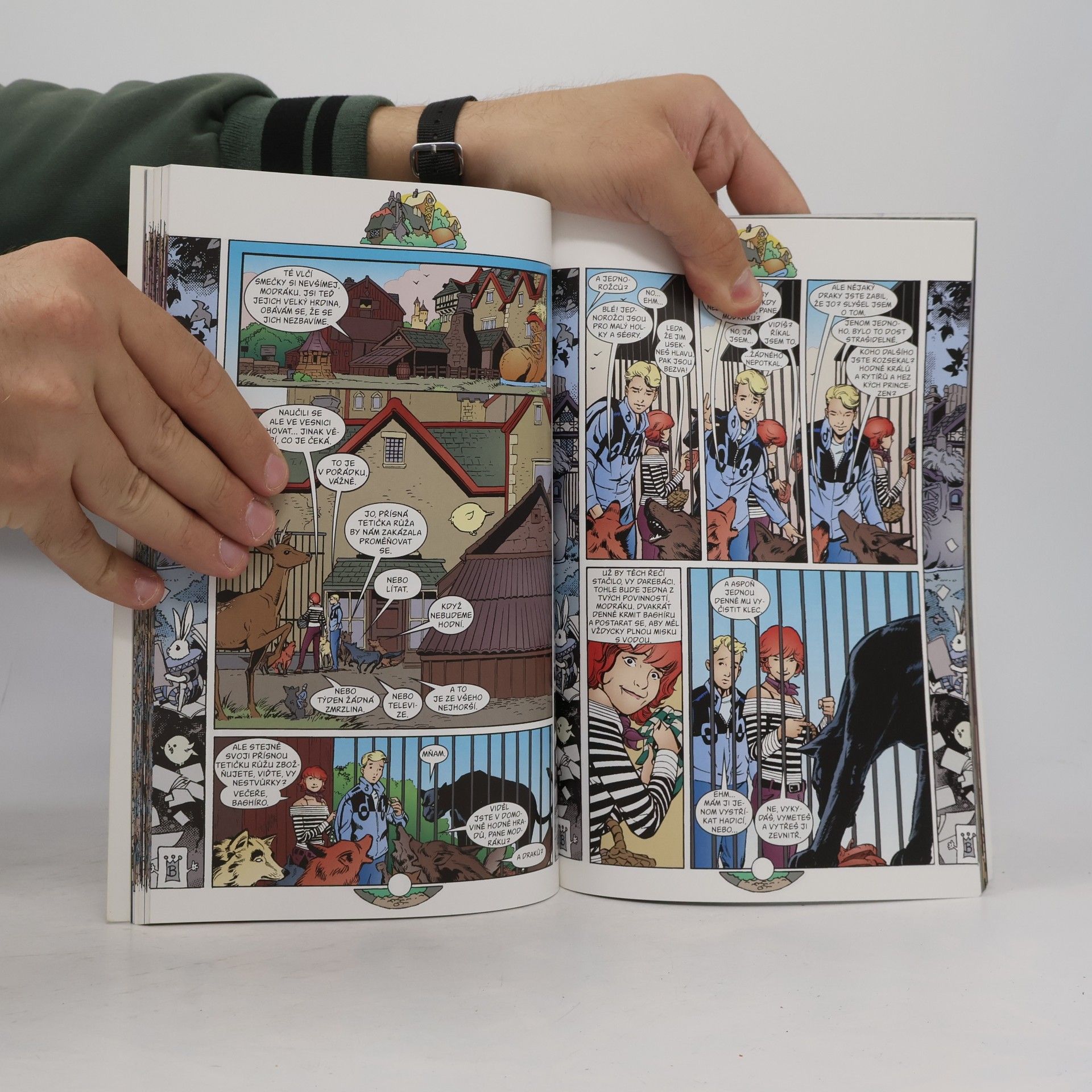 Bill Willingham Mýty: Arabské noci (a dny)