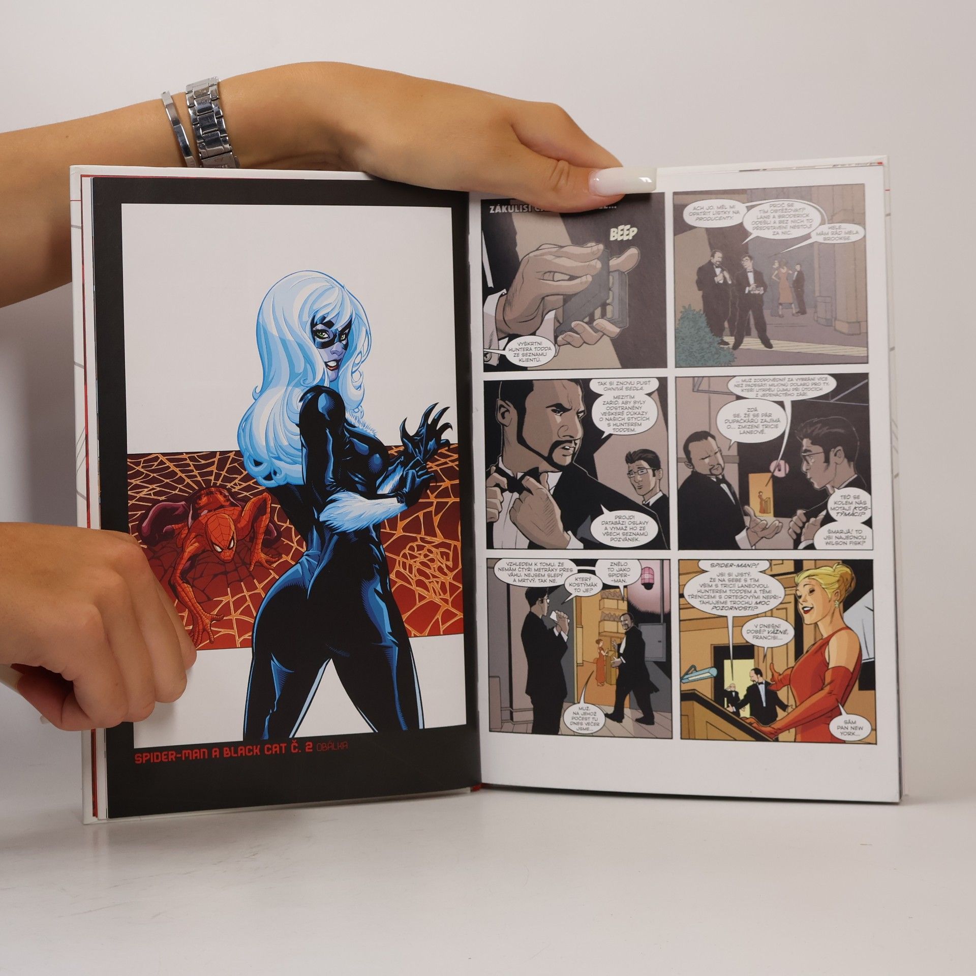 Terry Dodson Komiksový výběr Marvel 3. Spider-Man. Zlo v lidských srdcích