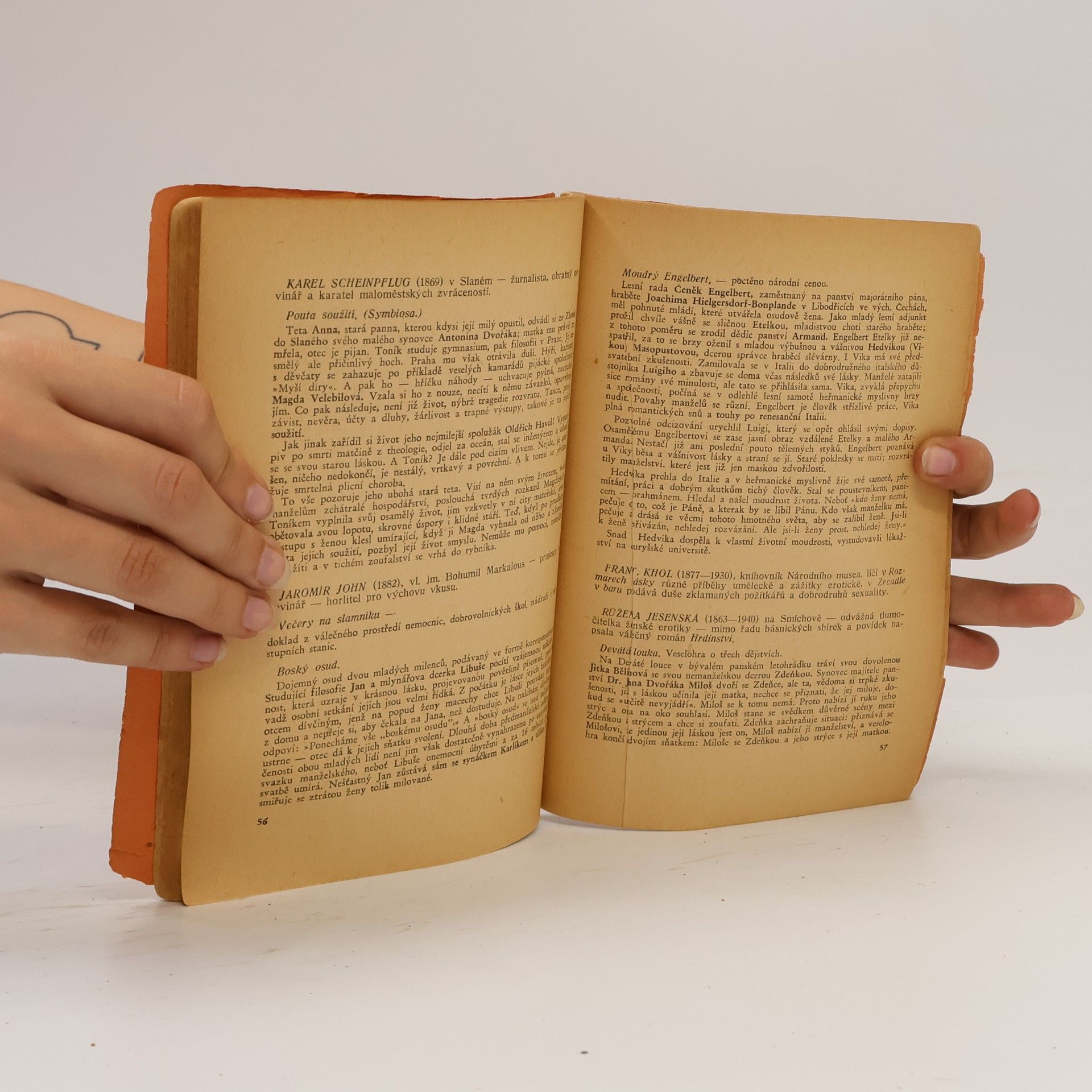 Various authors Česká literatura v kostce s obsahy význačných děl III.