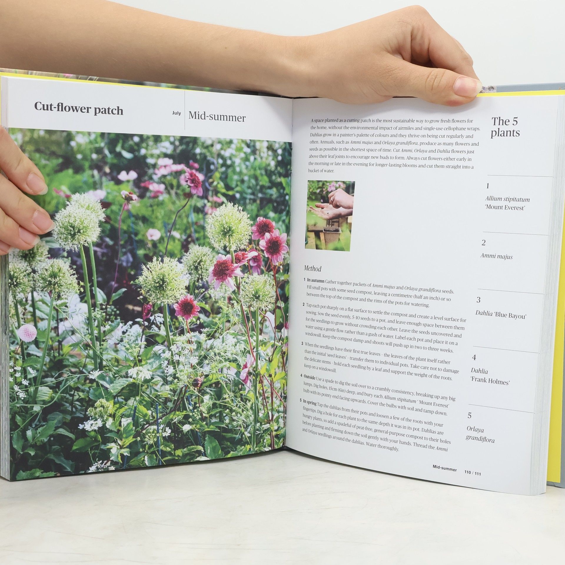 Lucy Bellamy Grow 5 : simple seasonal ideas for small outdoor spaces with just five plants