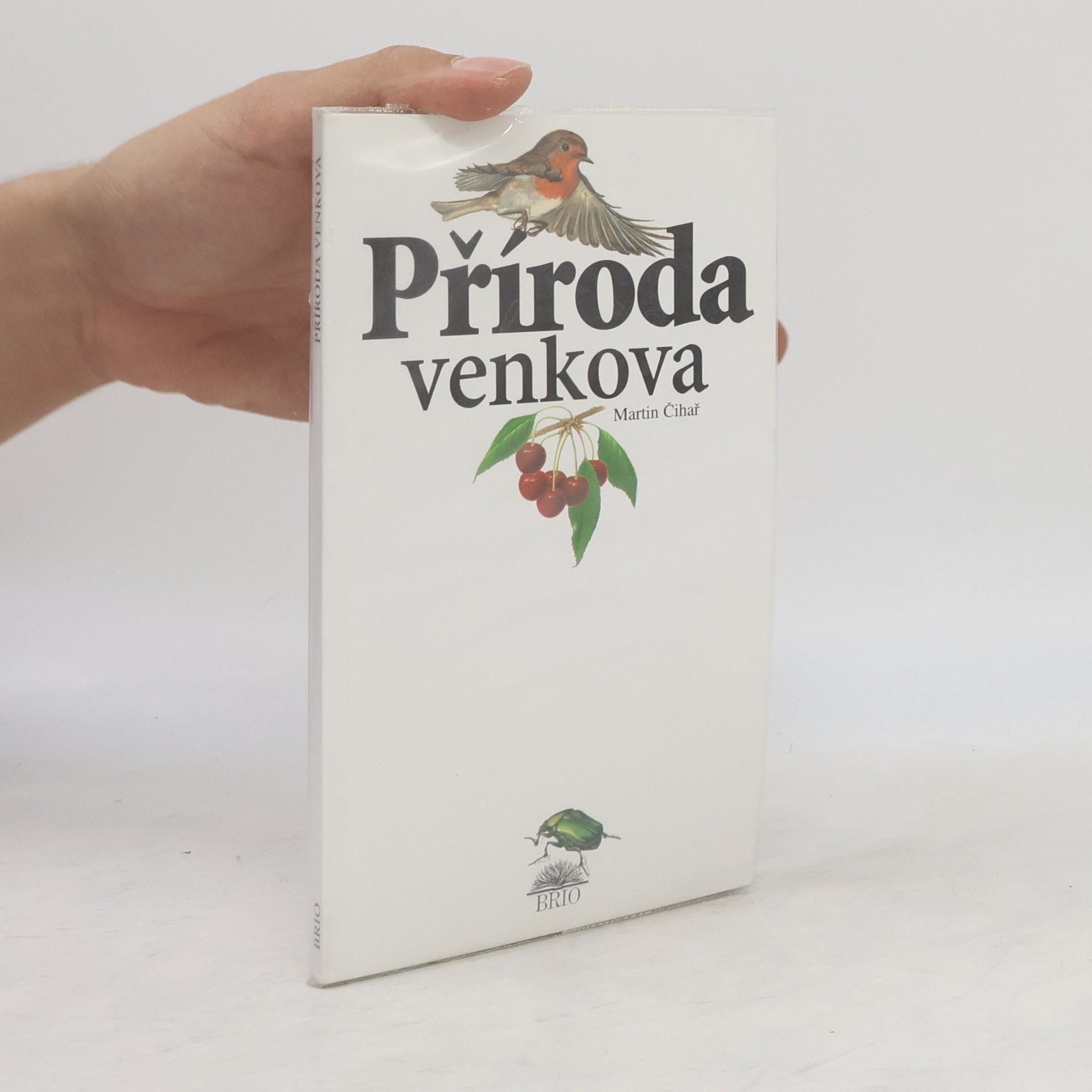 Grigorij Borisovič Jagdfeld Příroda venkova