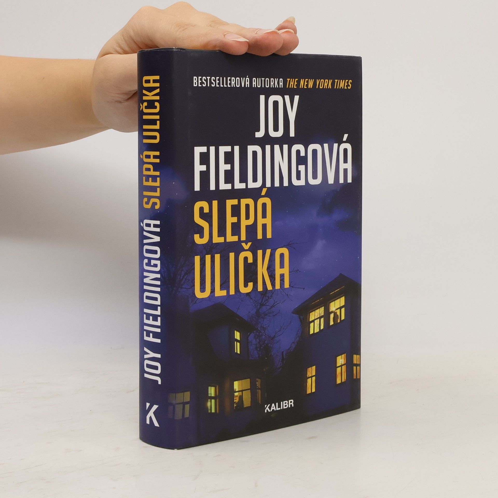 Joy Fielding Slepá ulička