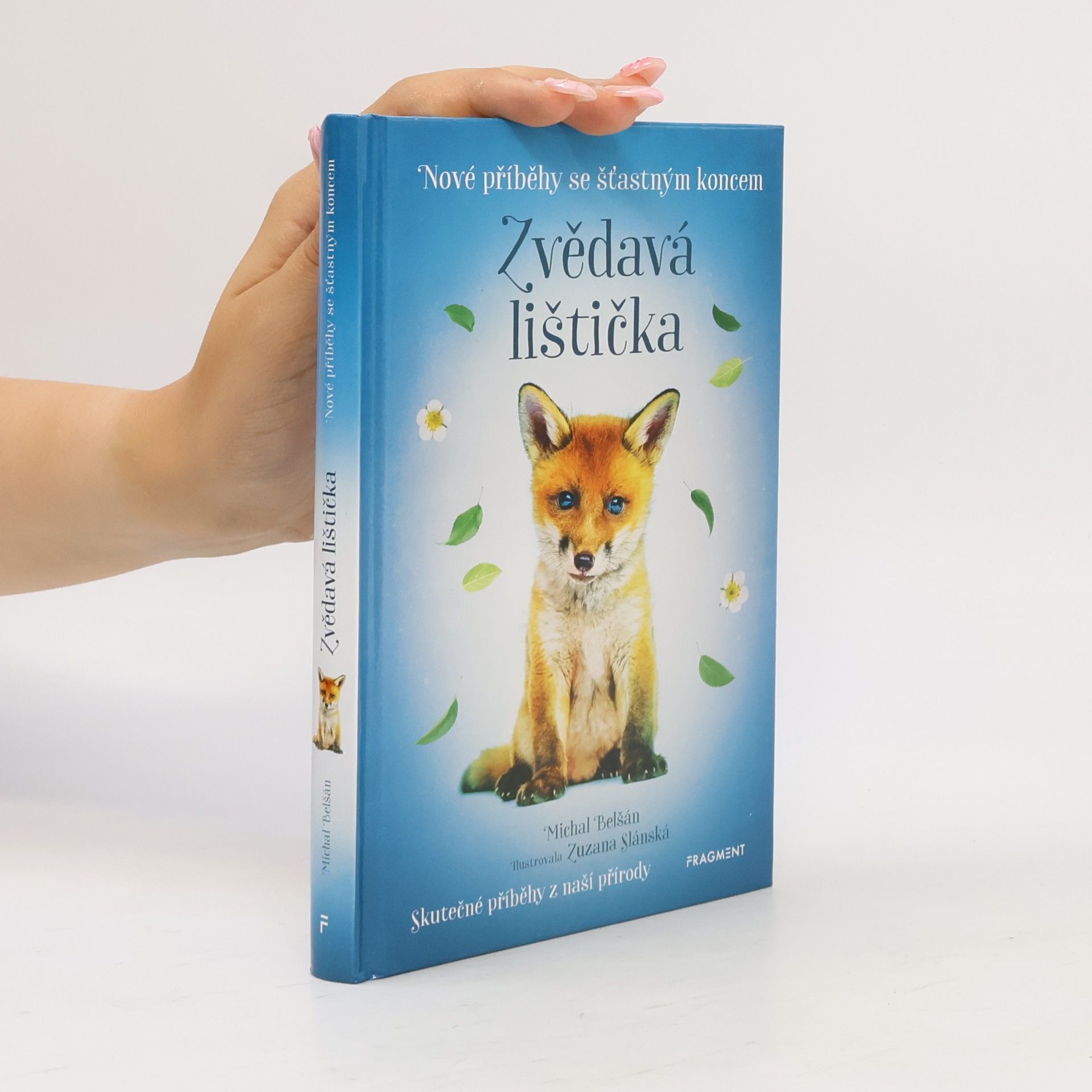 Michal Belšán Zvědavá lištička
