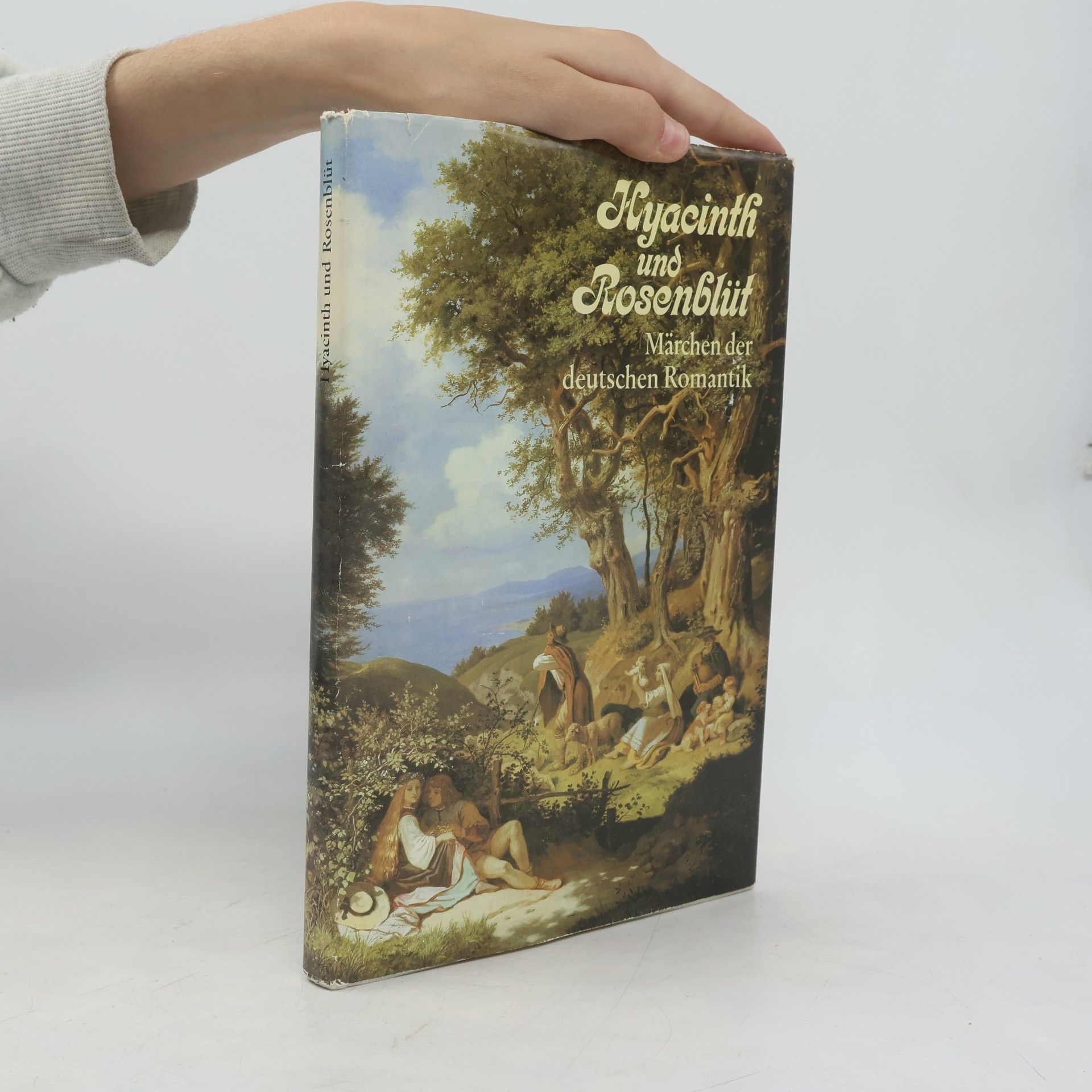 Sigrid Damm Hyacinth und Rosenblüt. Märchen der deutschen Romantik