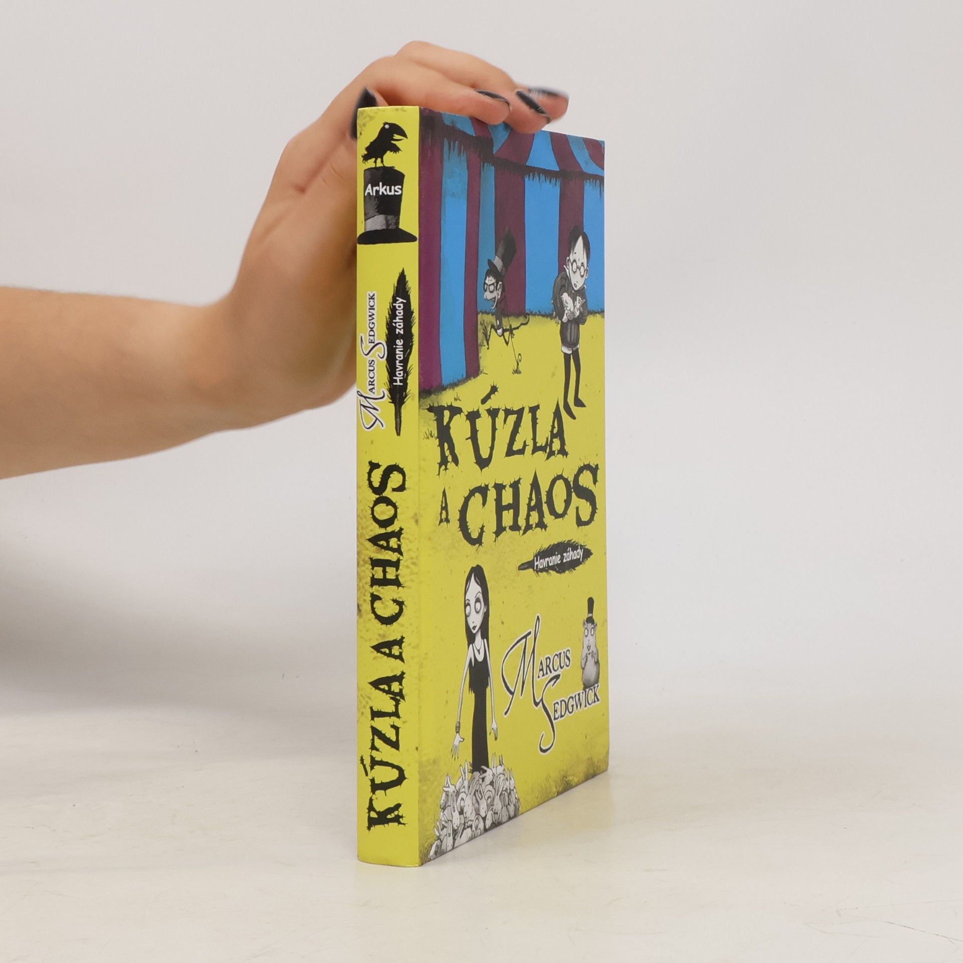 Marcus Sedgwick Kúzla a chaos: Havranie záhady
