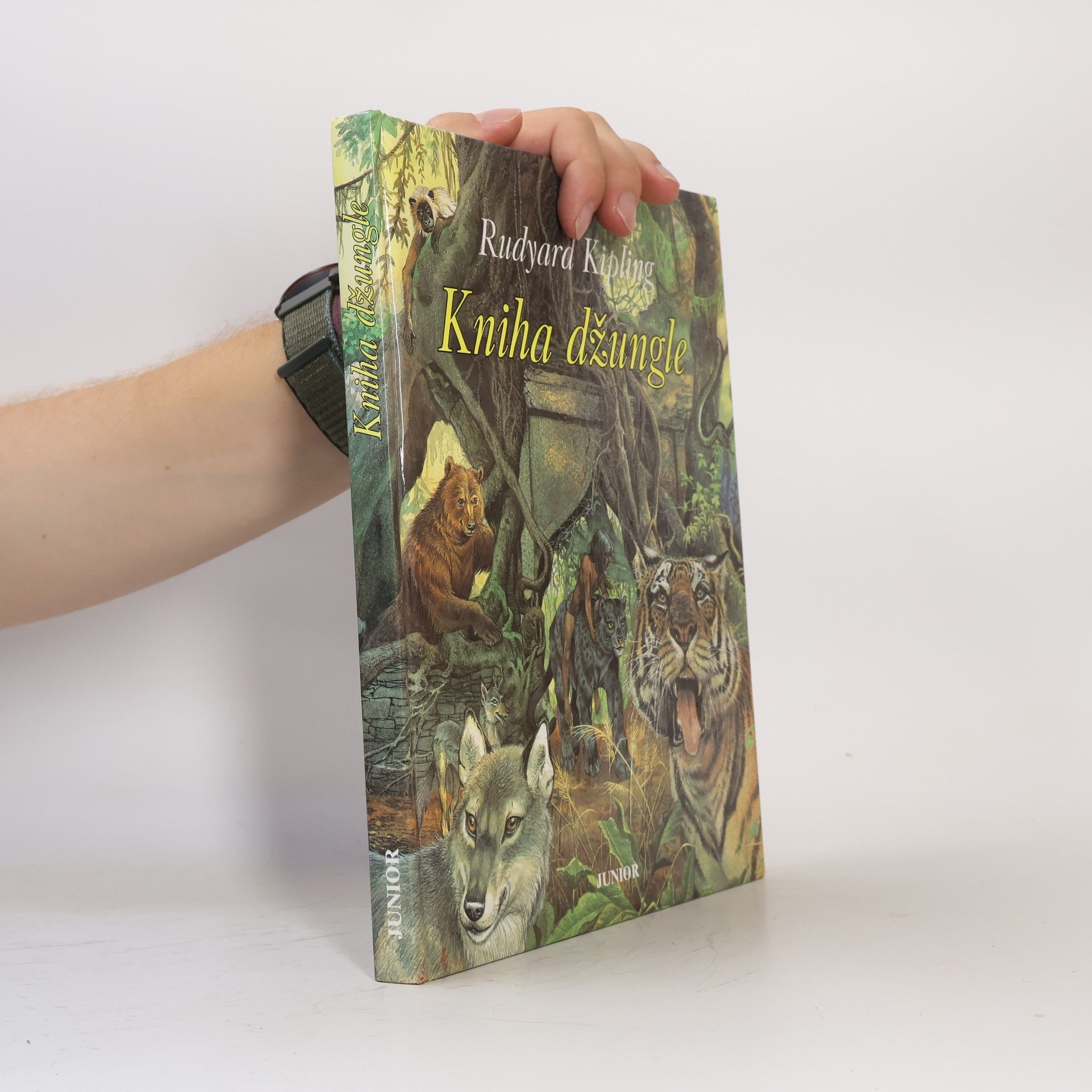Rudyard Kipling Kniha džungle