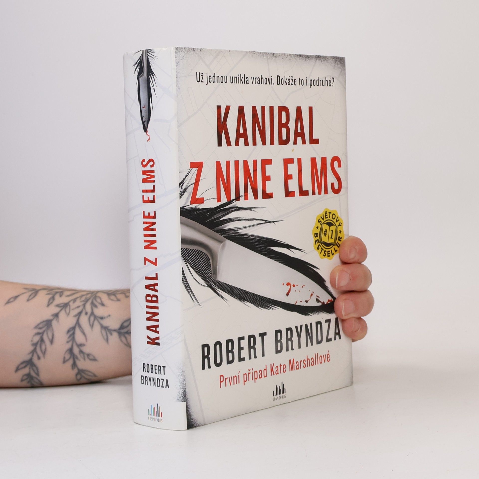 Robert Bryndza Kanibal z Nine Elms