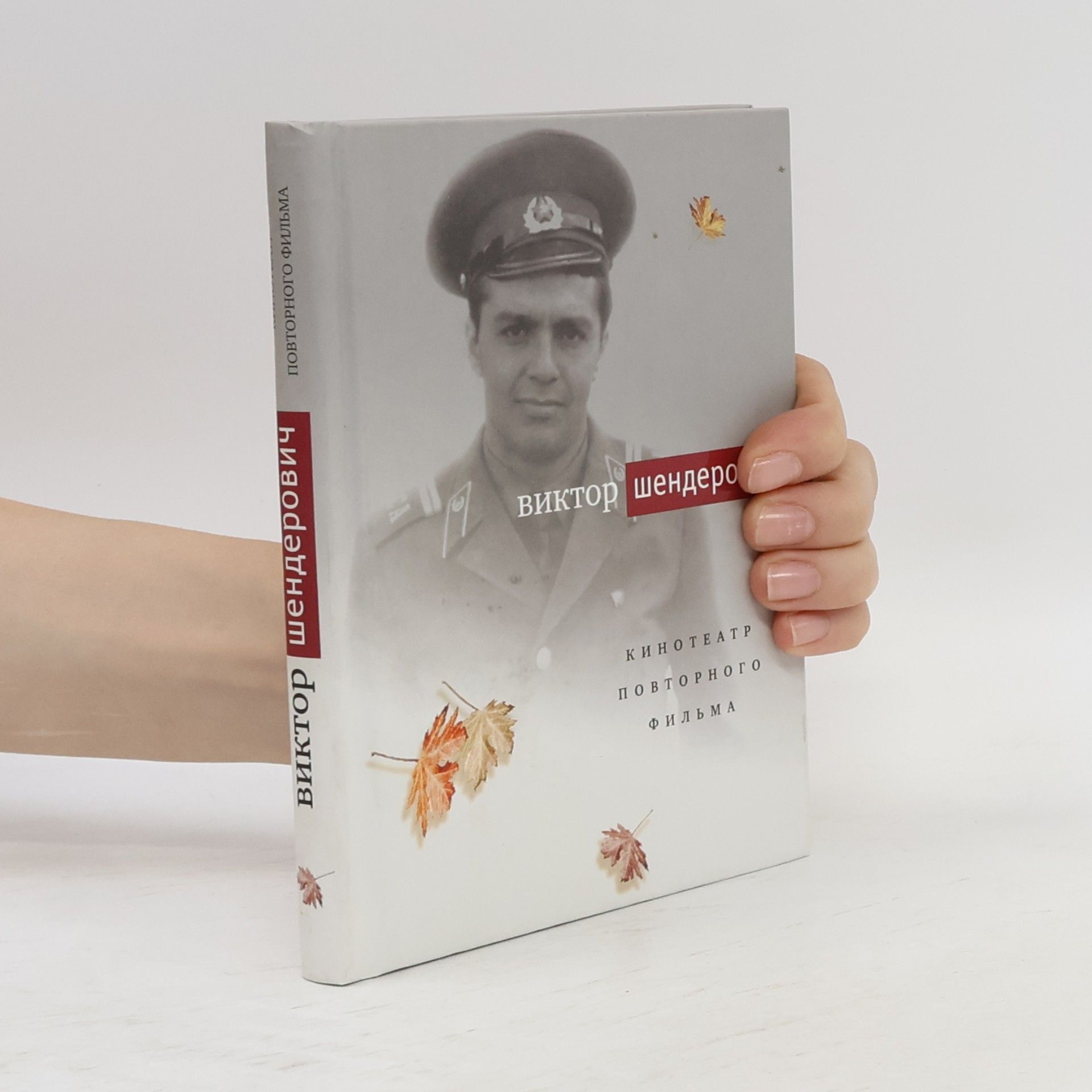 Кинотеатр повторного фильма