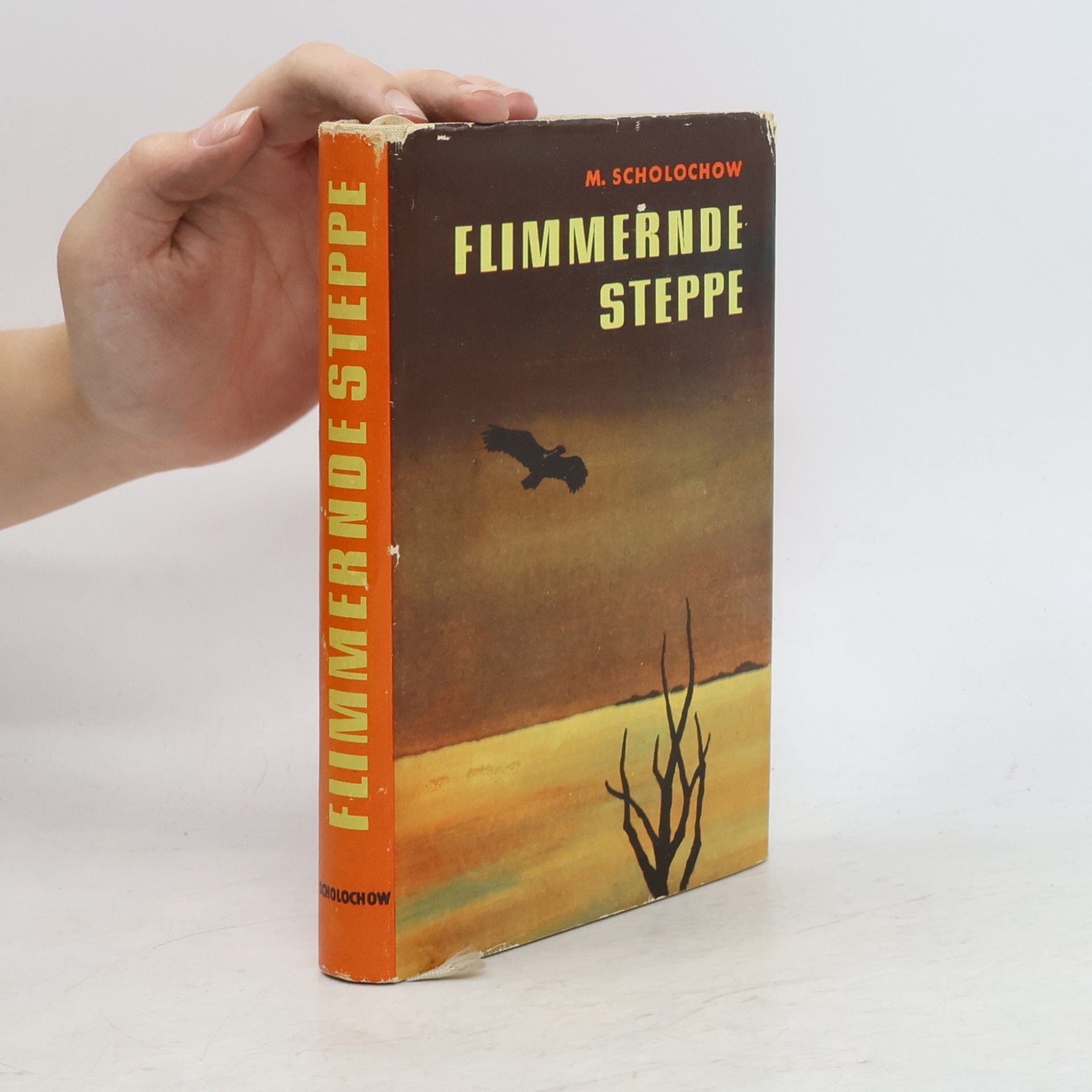 Michail Aleksandrovič Šolochov Flimmernde Steppe