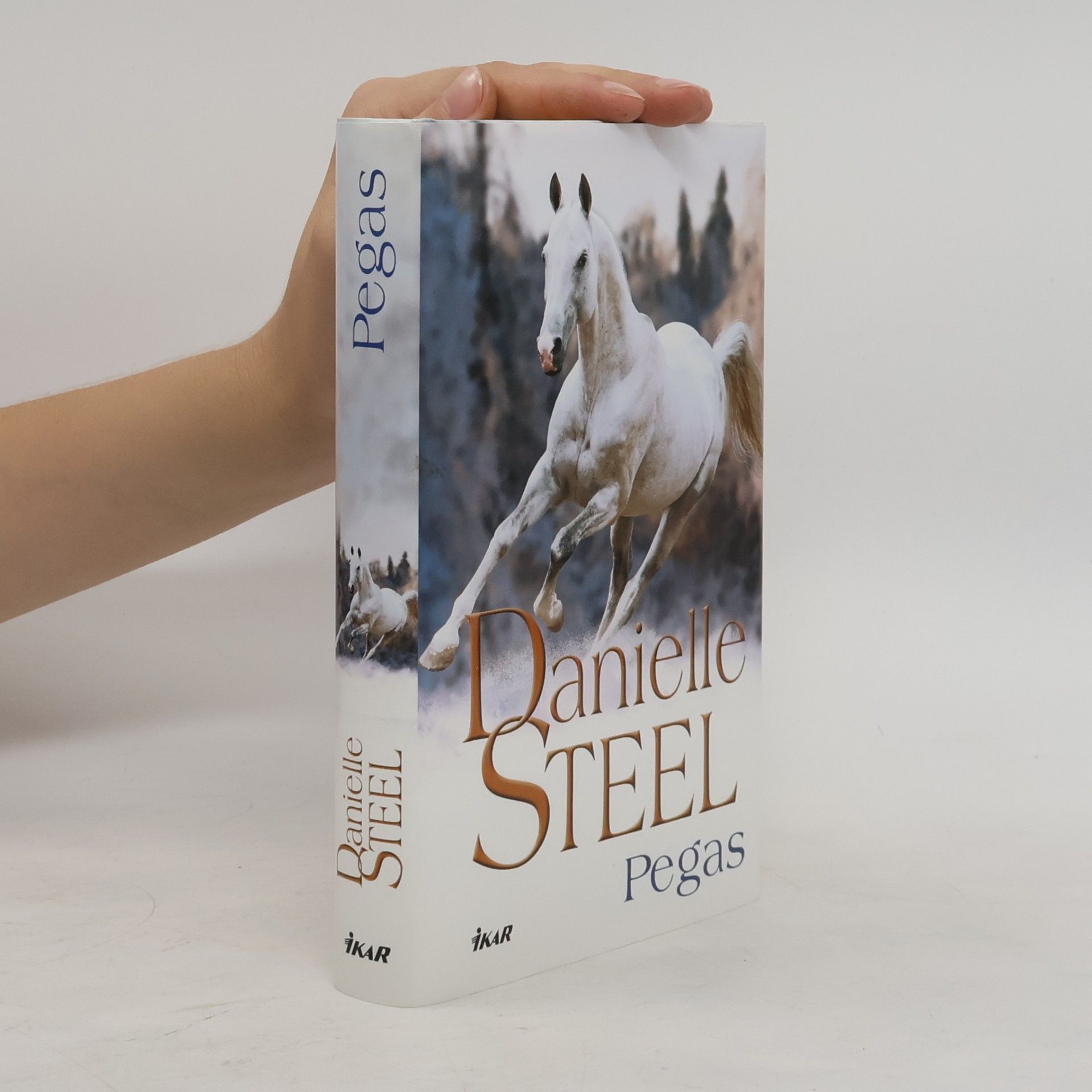 Danielle Steel Pegas