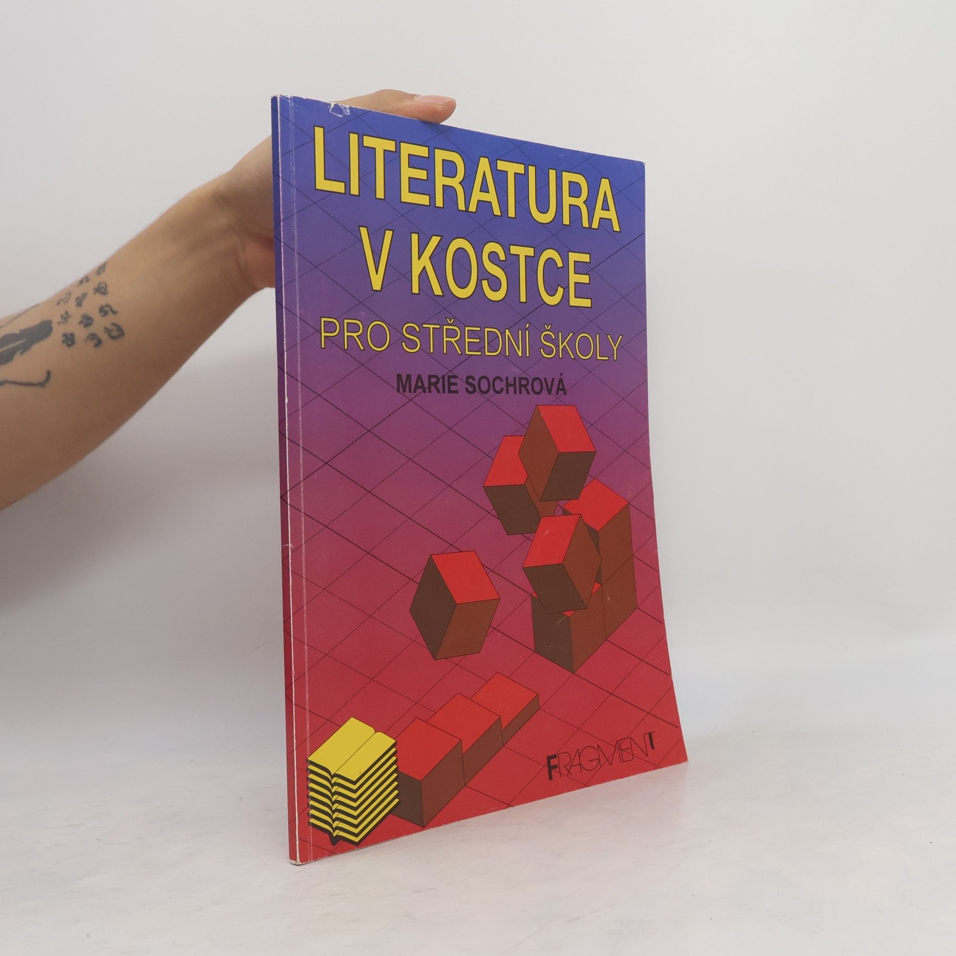 Tomáš Řízek Literatura v kostce