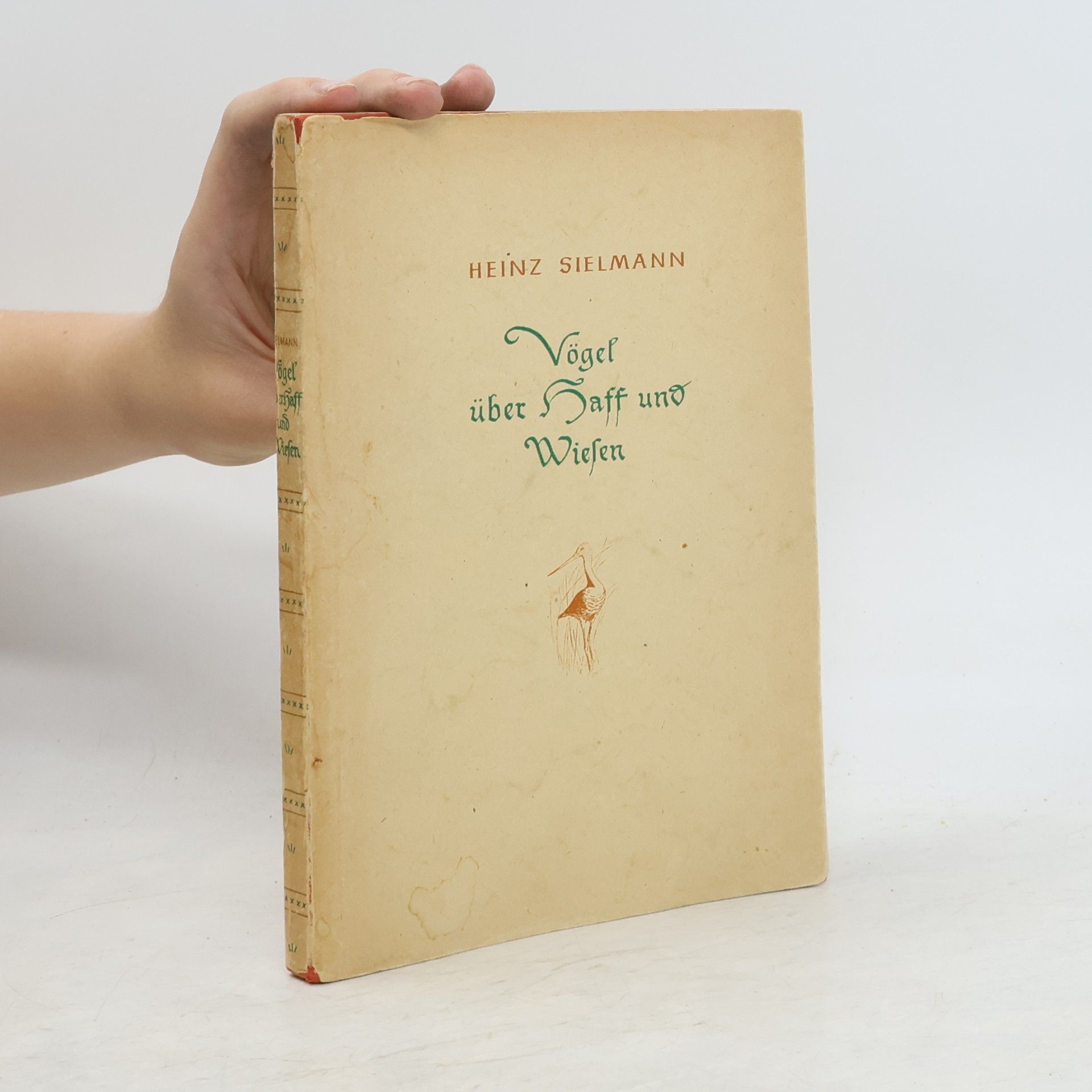Heinz Sielmann Vögel über Haff und Wiesen