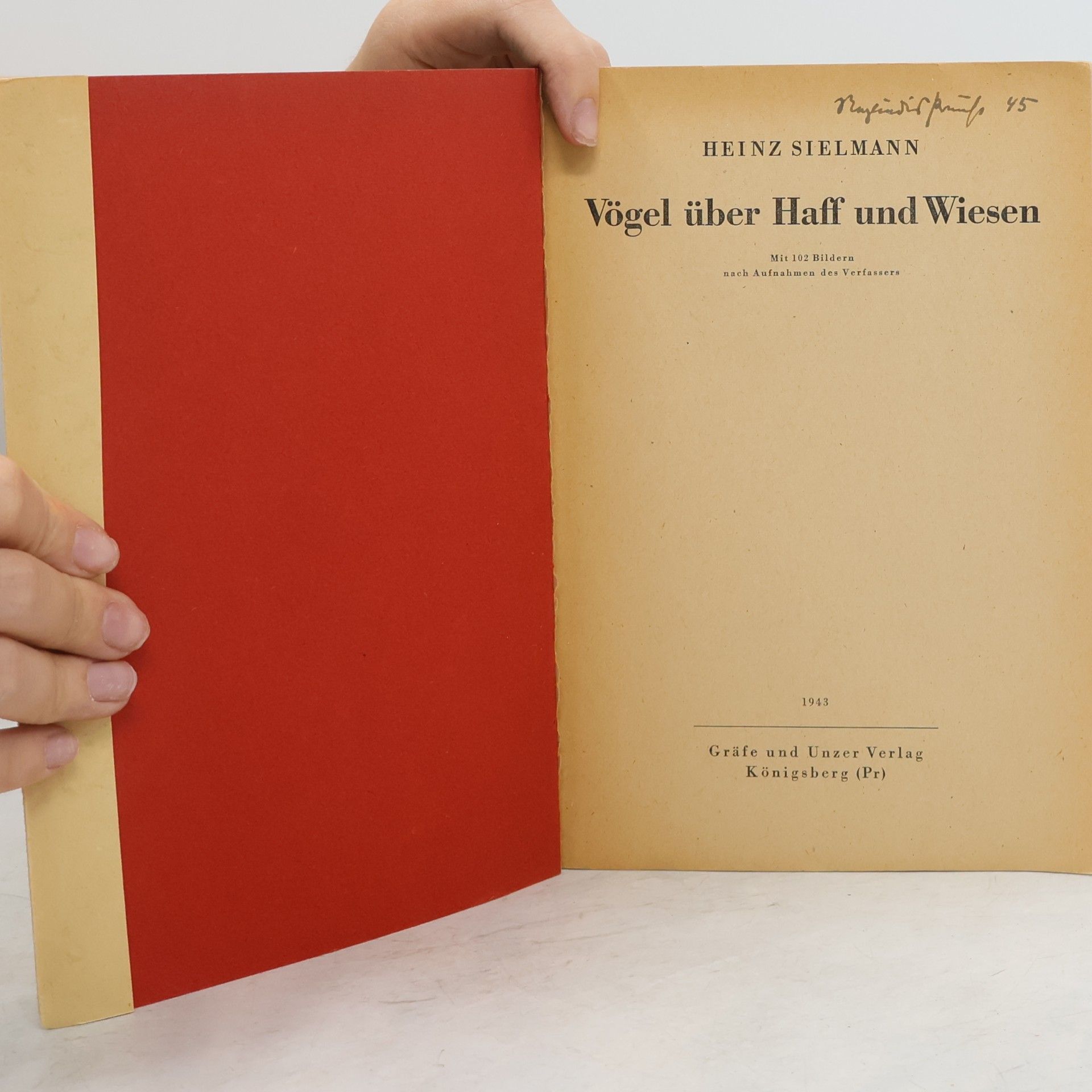Heinz Sielmann Vögel über Haff und Wiesen