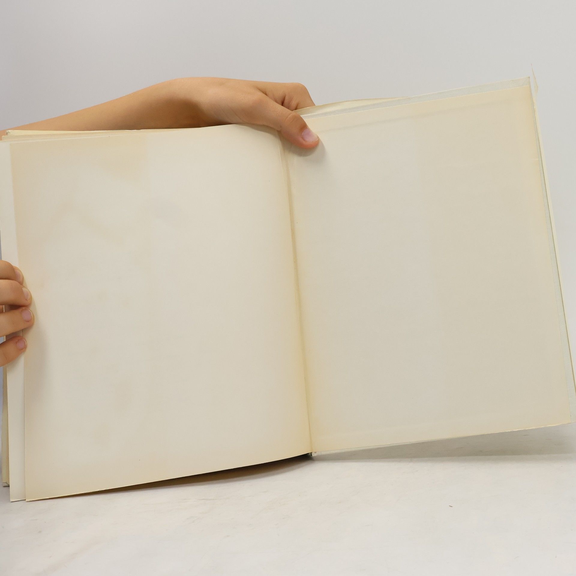 Ladislav Borovanský Soustavná anatomie člověka II