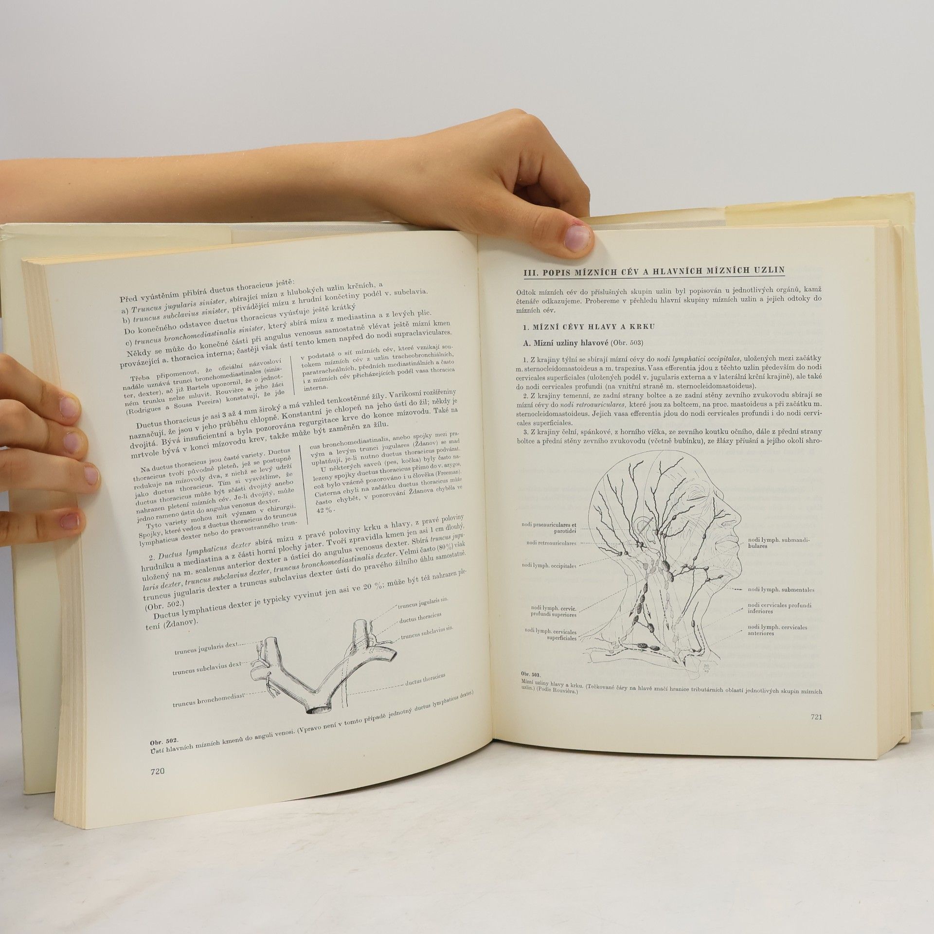 Ladislav Borovanský Soustavná anatomie člověka II