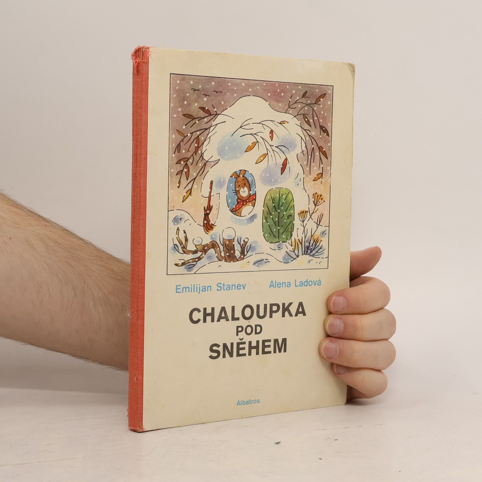 Alena Ladová Chaloupka pod sněhem