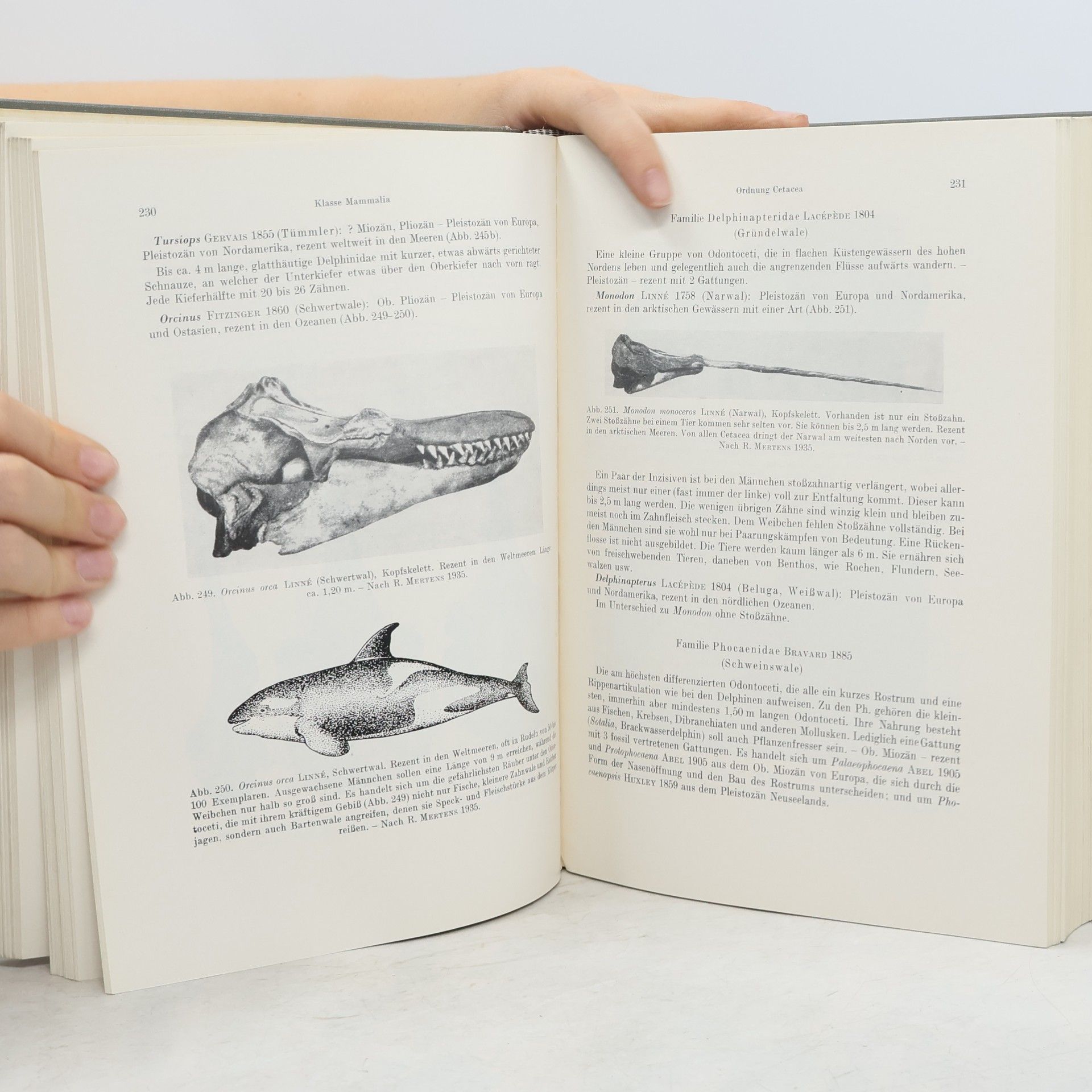 Arno Hermann Müller Lehrbuch der Paläozoologie. Band III