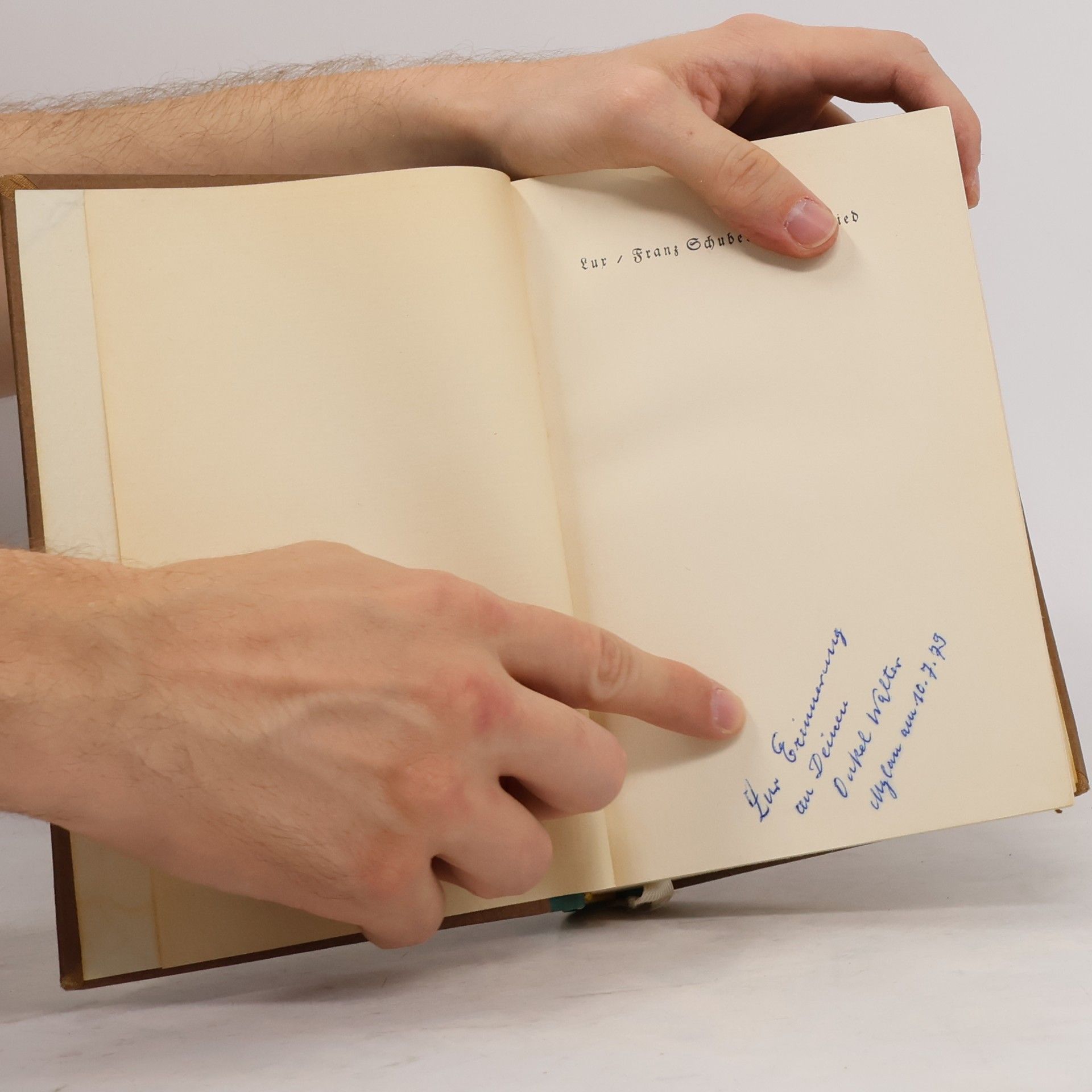 Joseph August Lux Franz Schuberts Lebenslied: Ein Roman Der Freundschaft