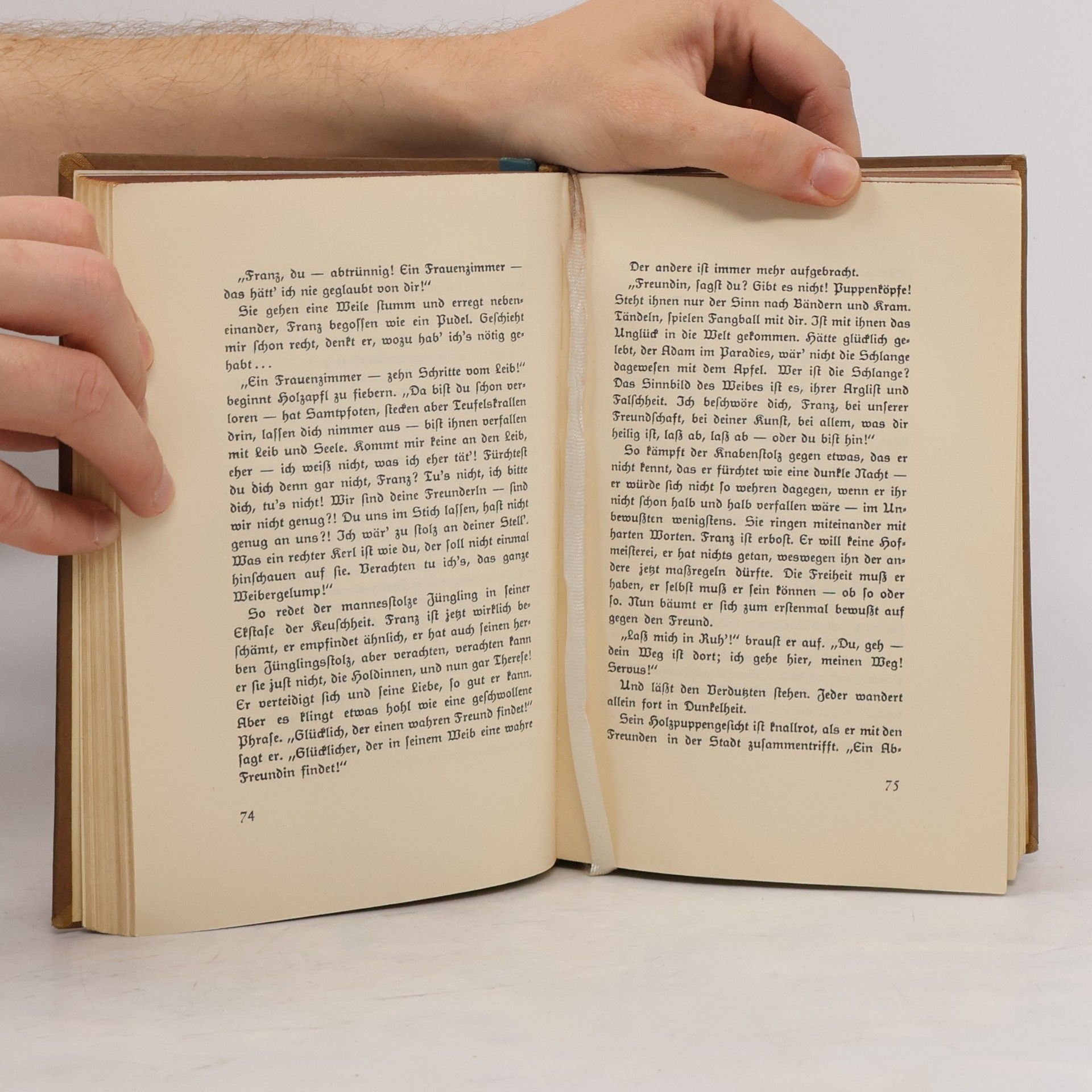Joseph August Lux Franz Schuberts Lebenslied: Ein Roman Der Freundschaft