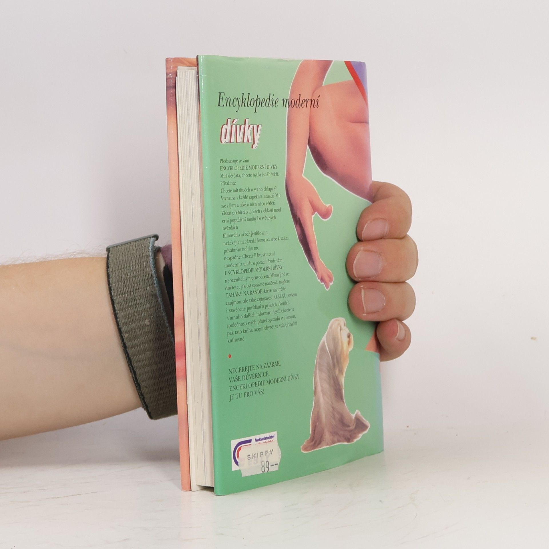 Lucie Bílá Encyklopedie moderní dívky