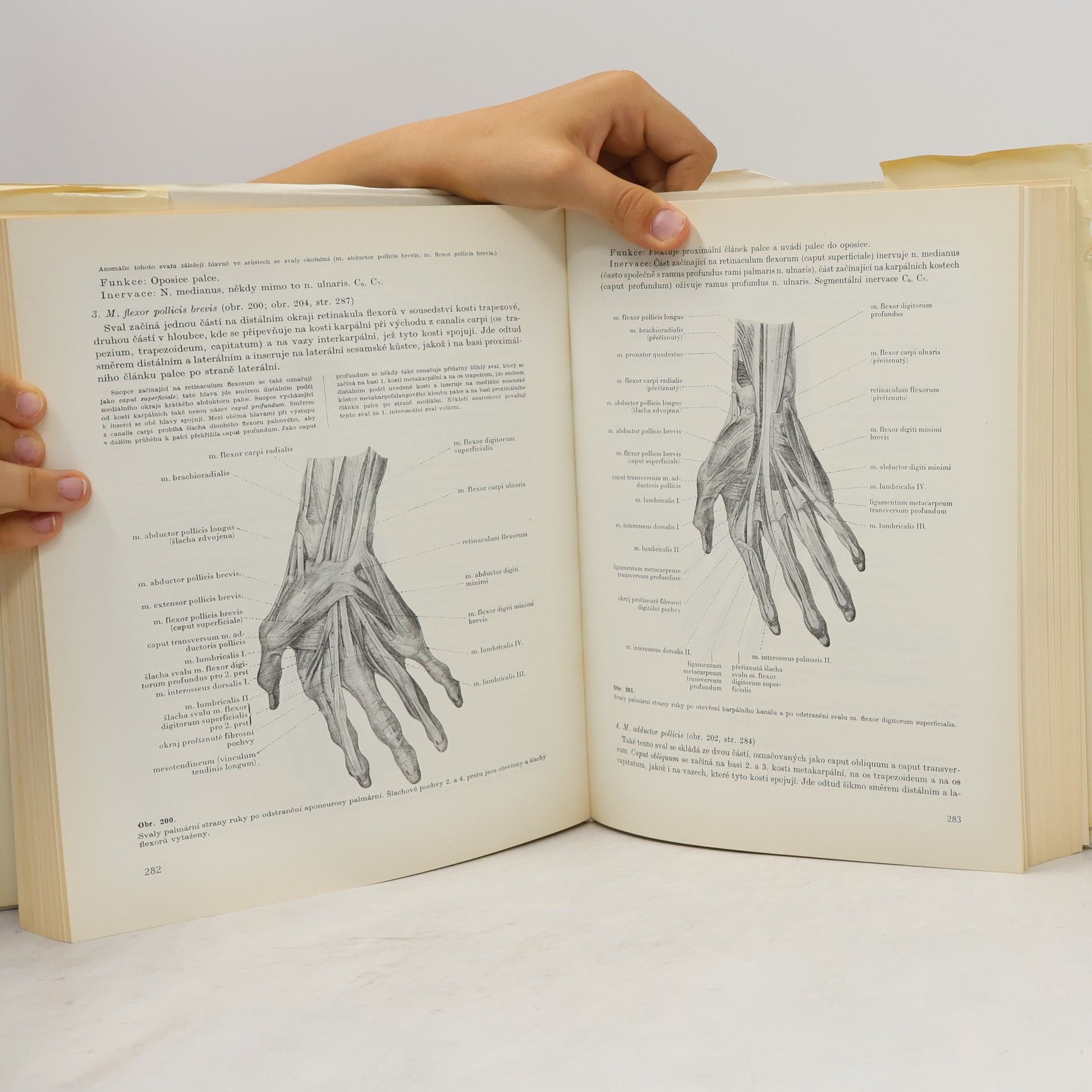 Auteurscollectief Soustavná anatomie člověka I. díl