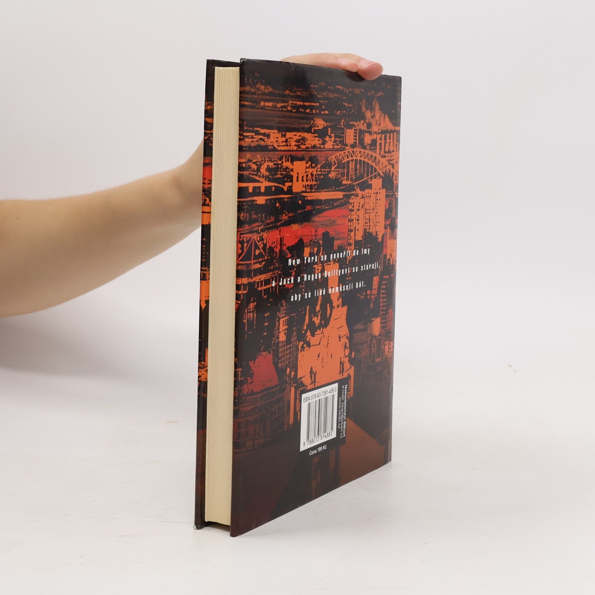 Carol Higgins Clark Horká noc