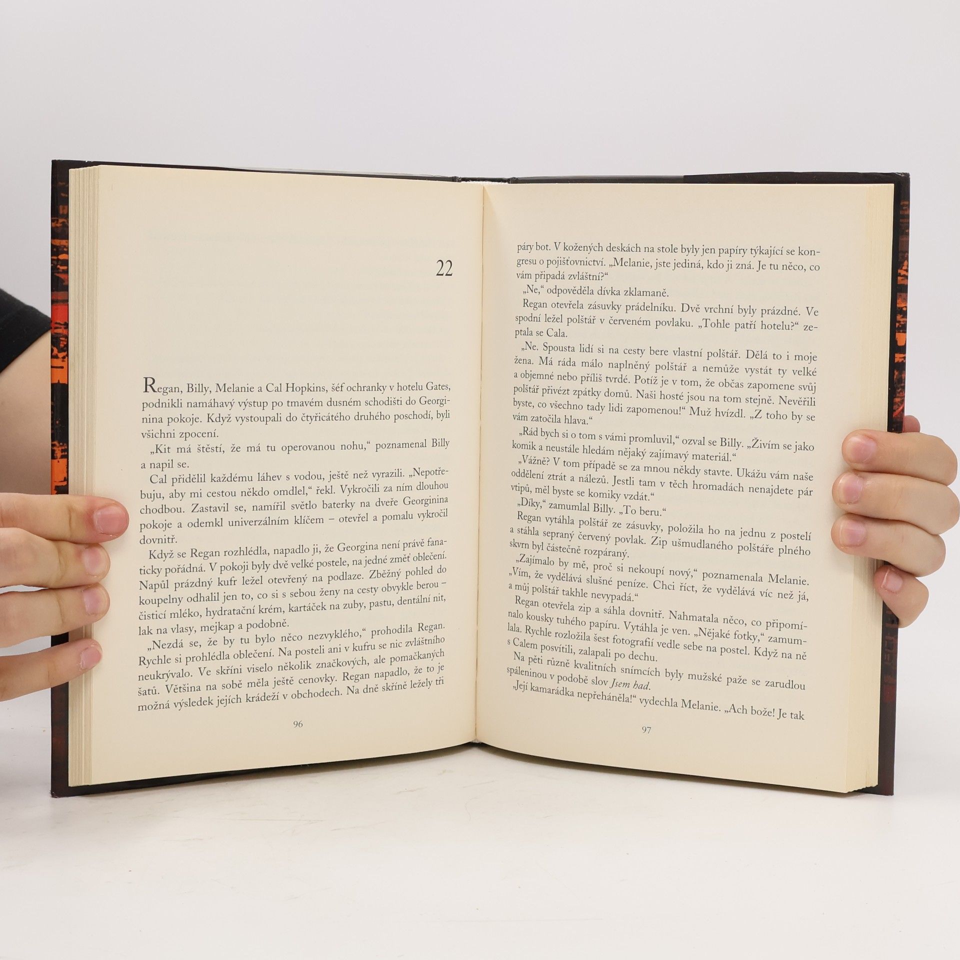 Carol Higgins Clark Horká noc