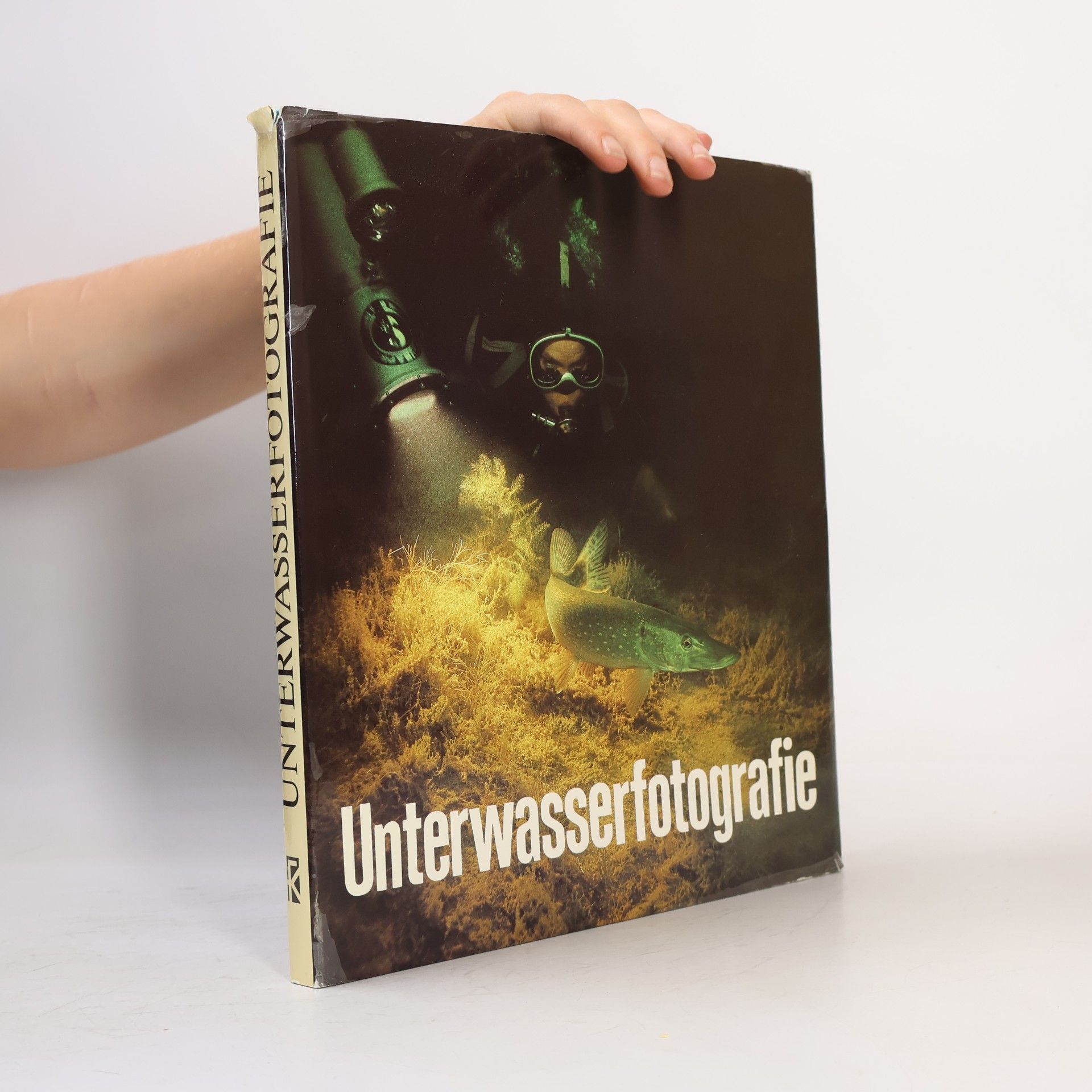 Reiner Krause Unterwasserfotografie