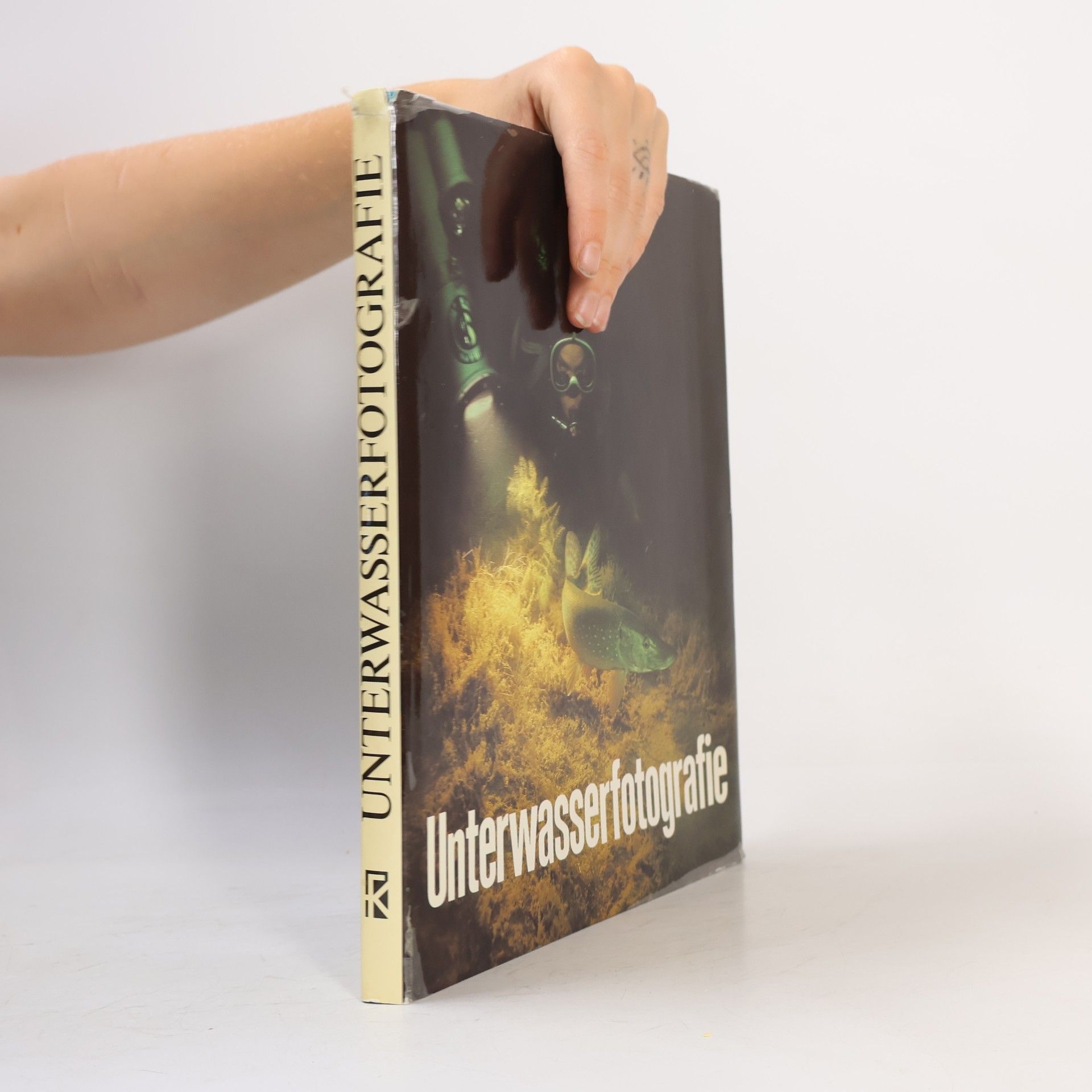 Martin Rauschert Unterwasserfotografie