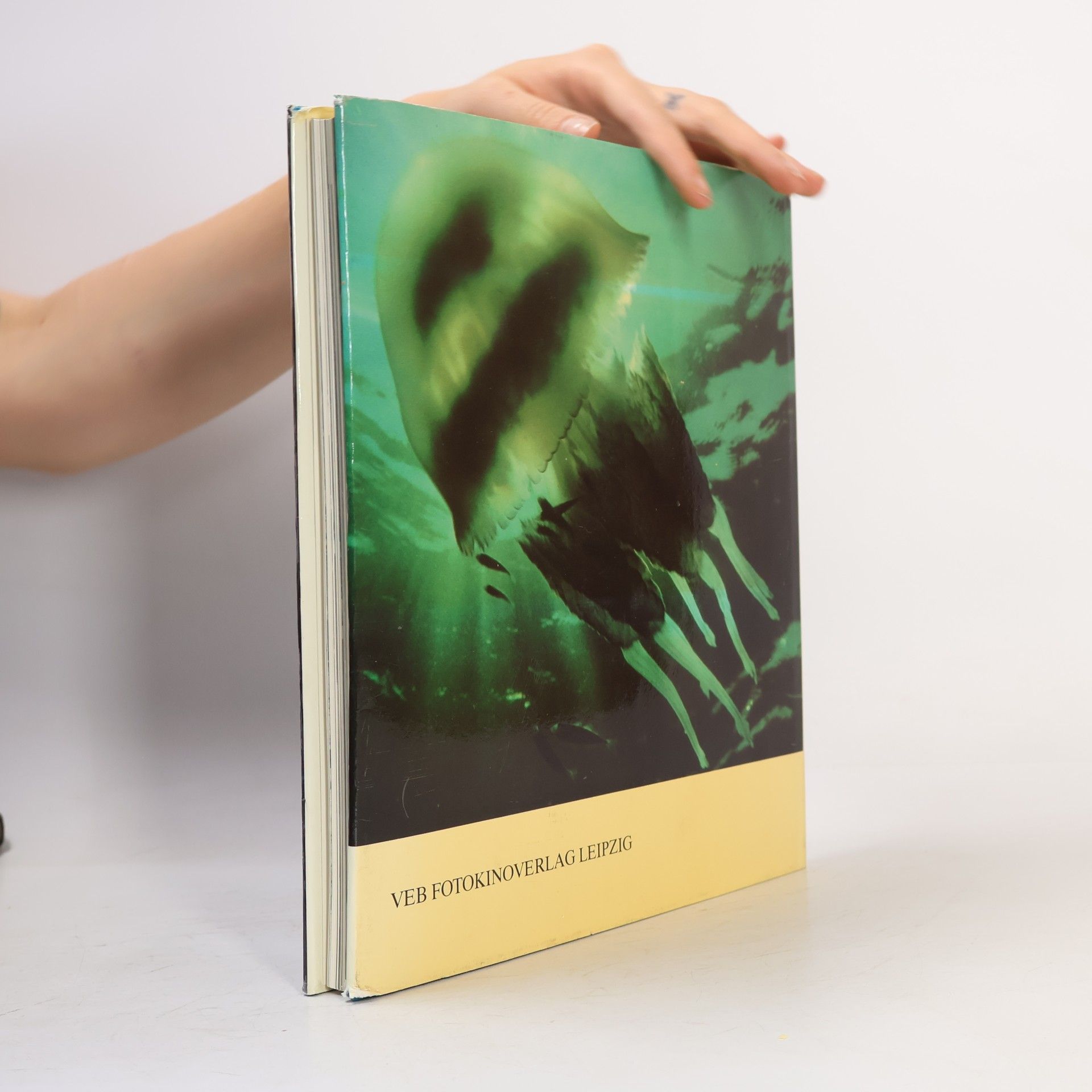 Martin Rauschert Unterwasserfotografie