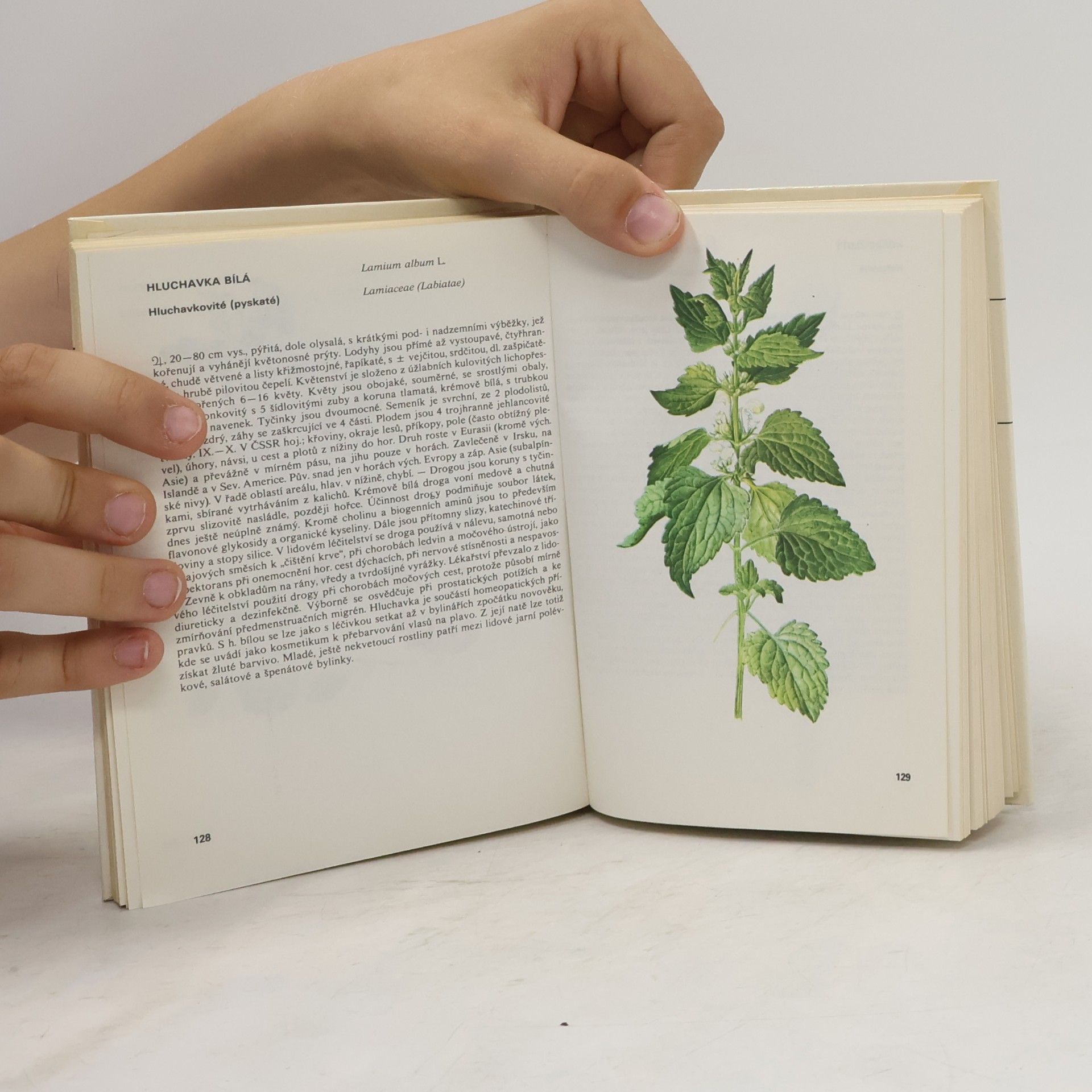 Václav Jirásek Kapesní atlas léčivých rostlin