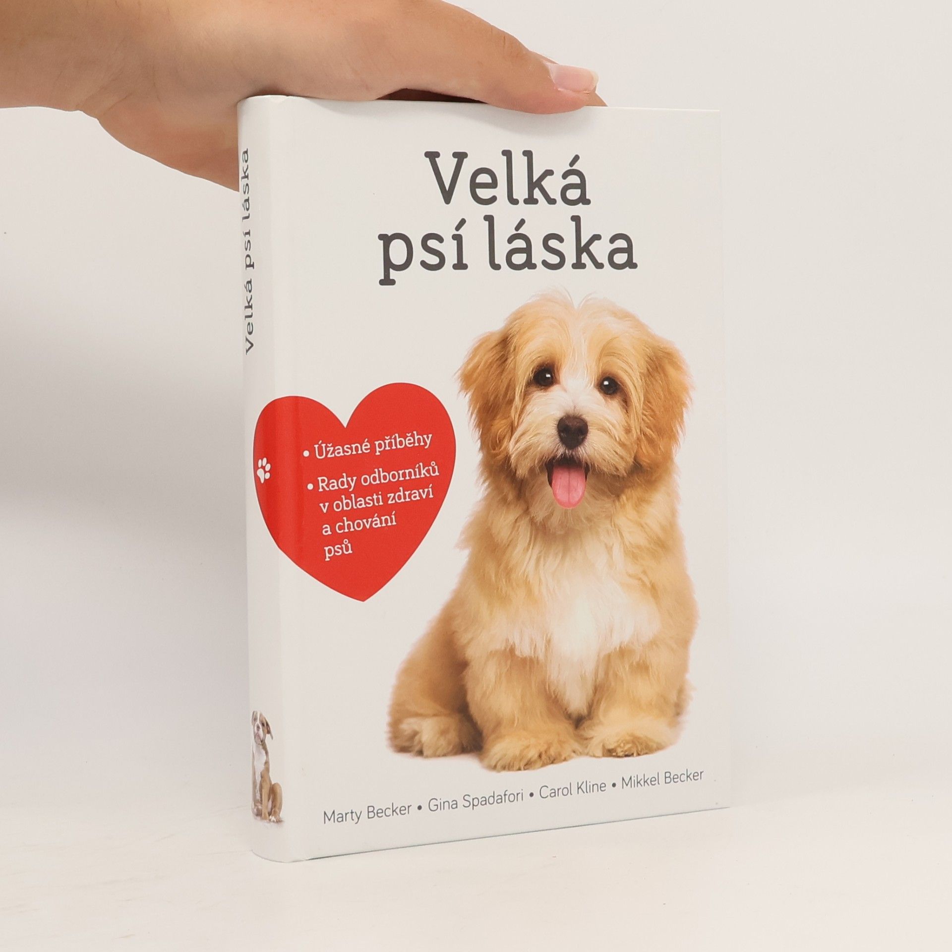 Velká psí láska: Příběhy, rady a úžasné fotografie psích bytostí