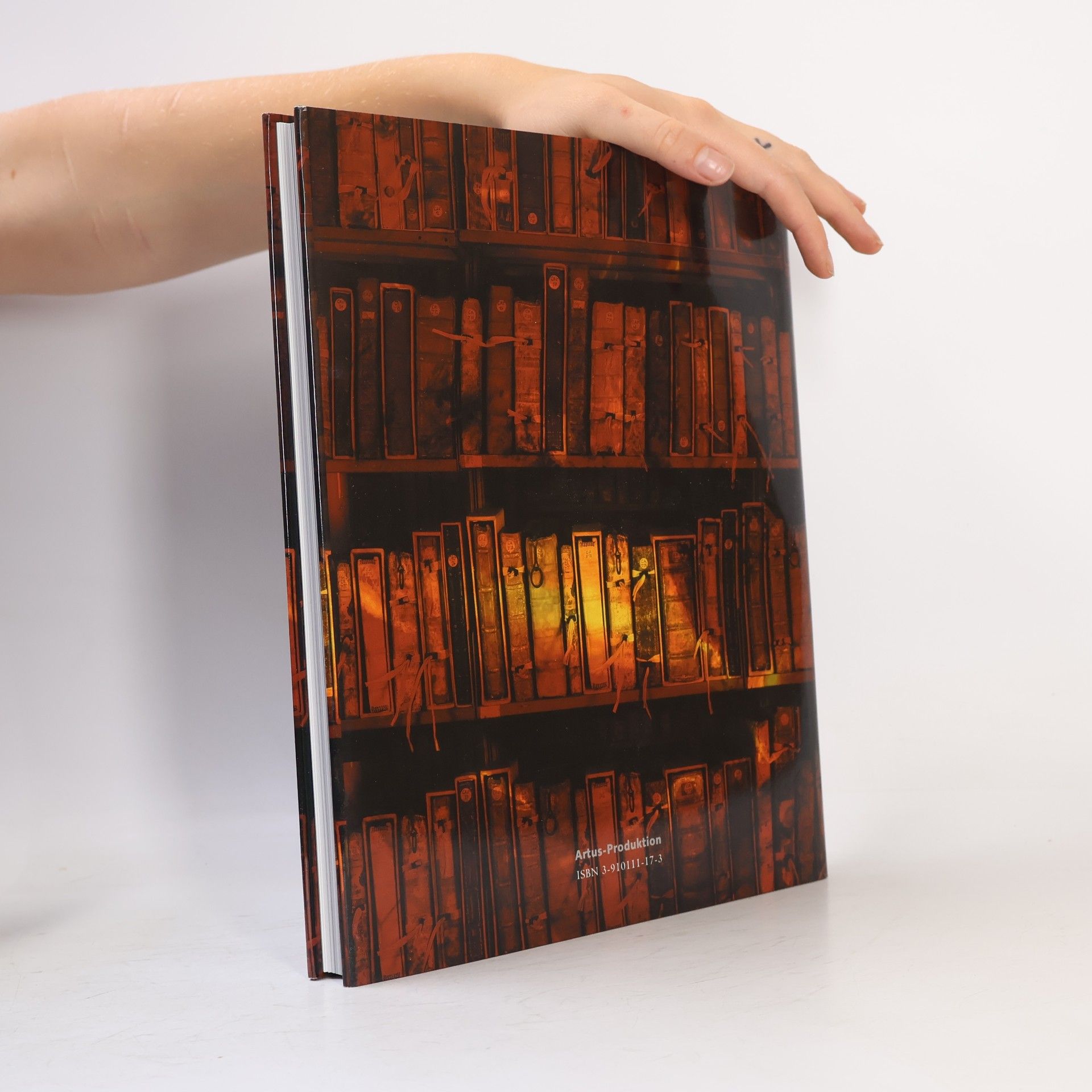 Kathrin Paasch Der Schatz des Amplonius