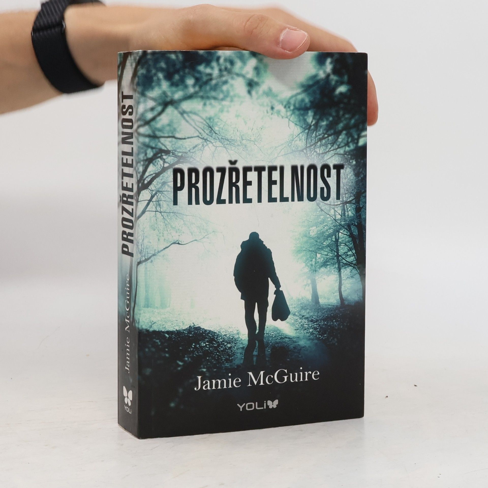 Jamie McGuire Prozřetelnost