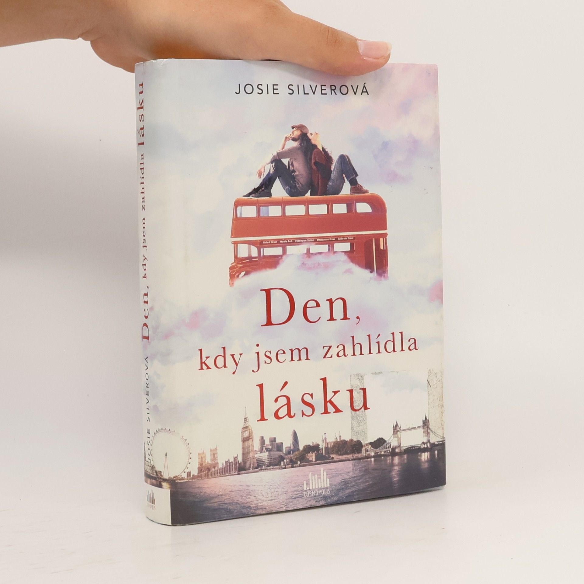 Josie Silver Den, kdy jsem zahlídla lásku