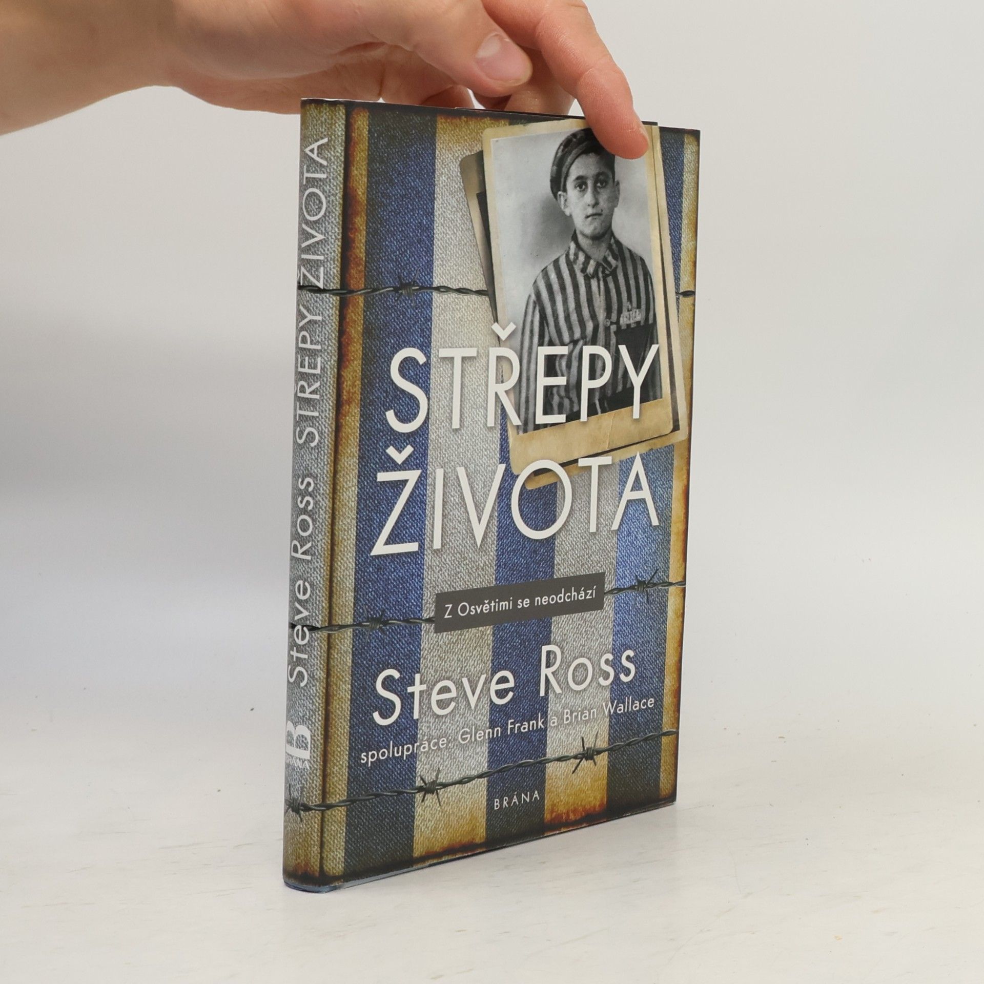 Brian Wallace Střepy života