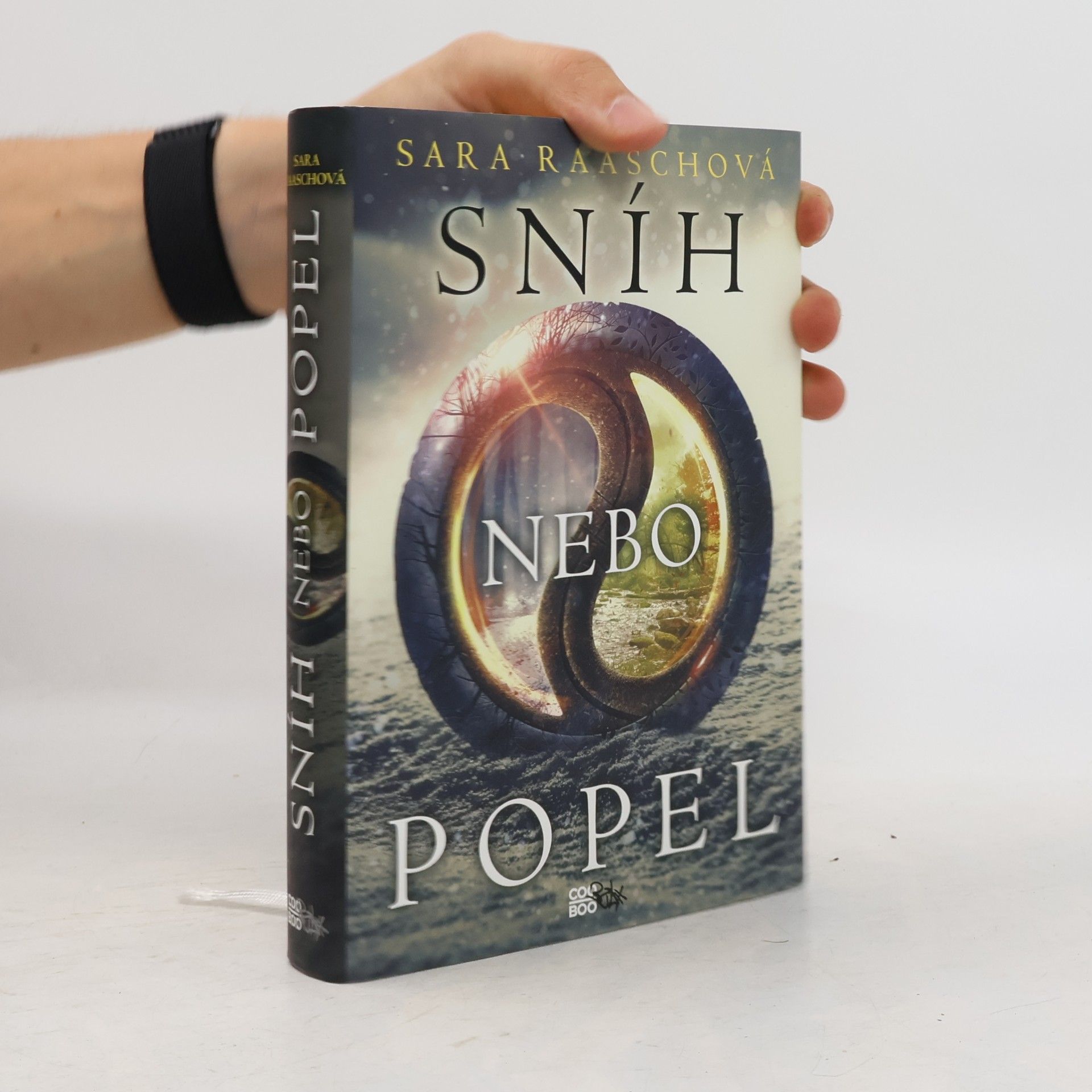 Sara Raasch Sníh nebo popel