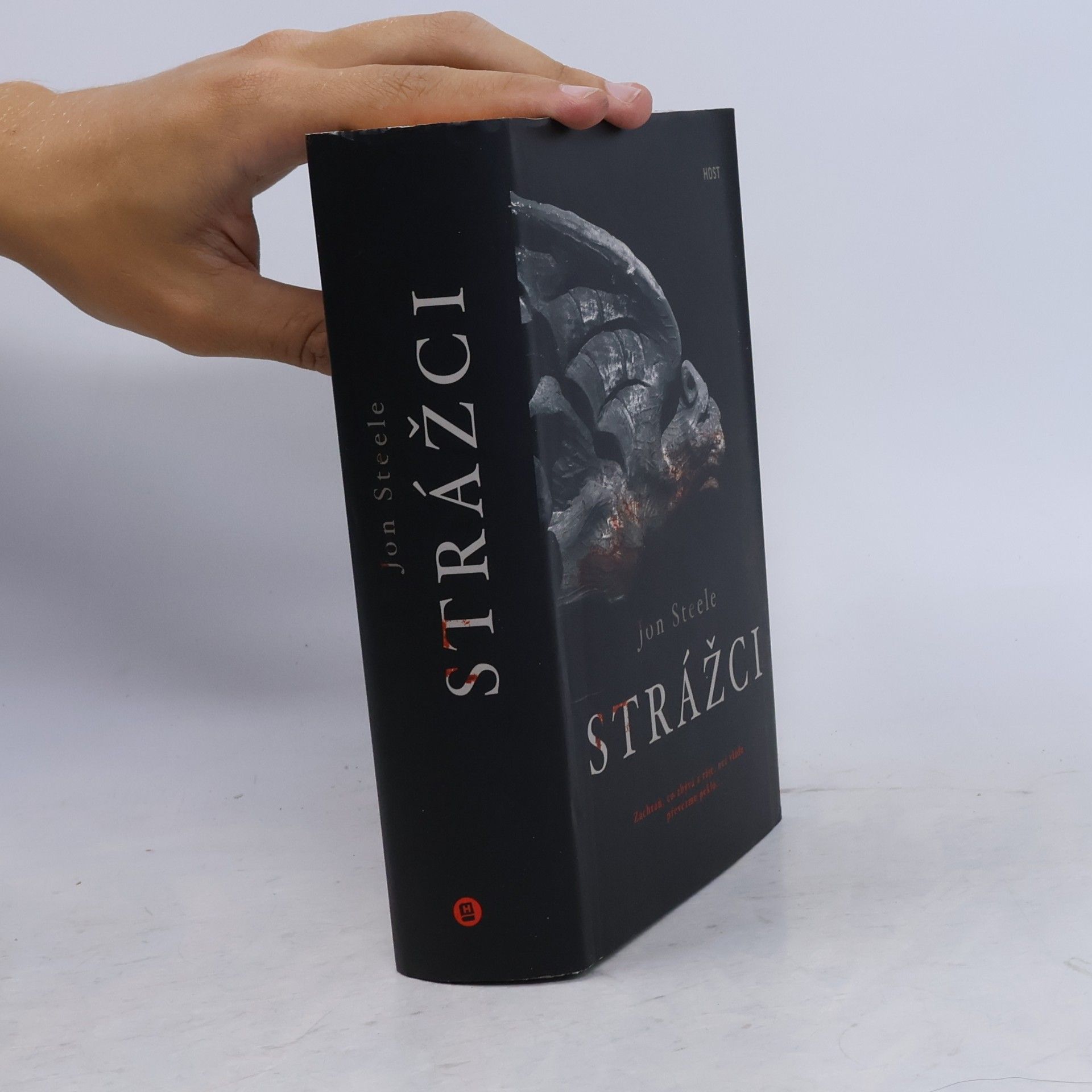 Jon Steele Strážci