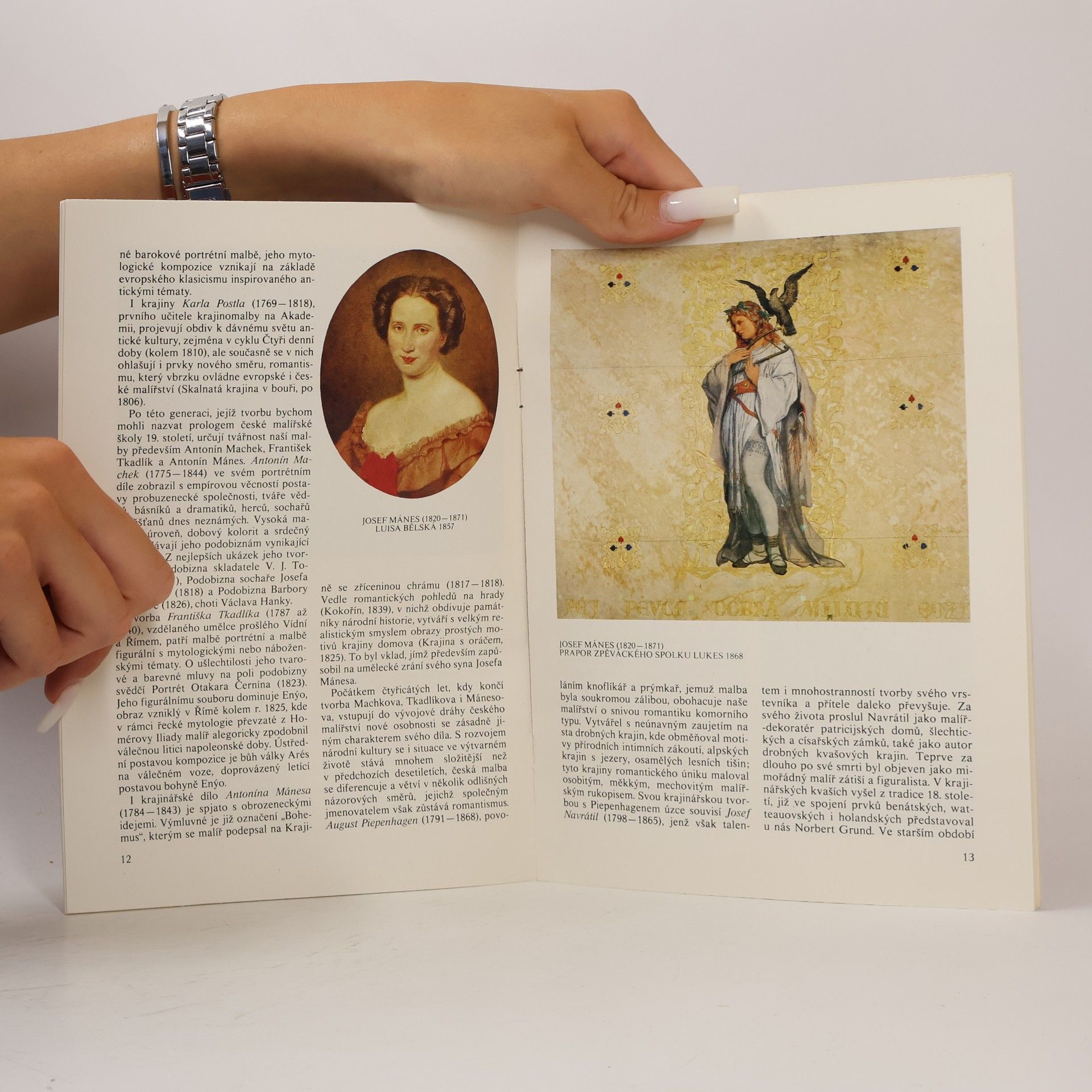 Jiří Kotalík České malířství 19. století. Průvodce stálou expozicí v Anežském areálu