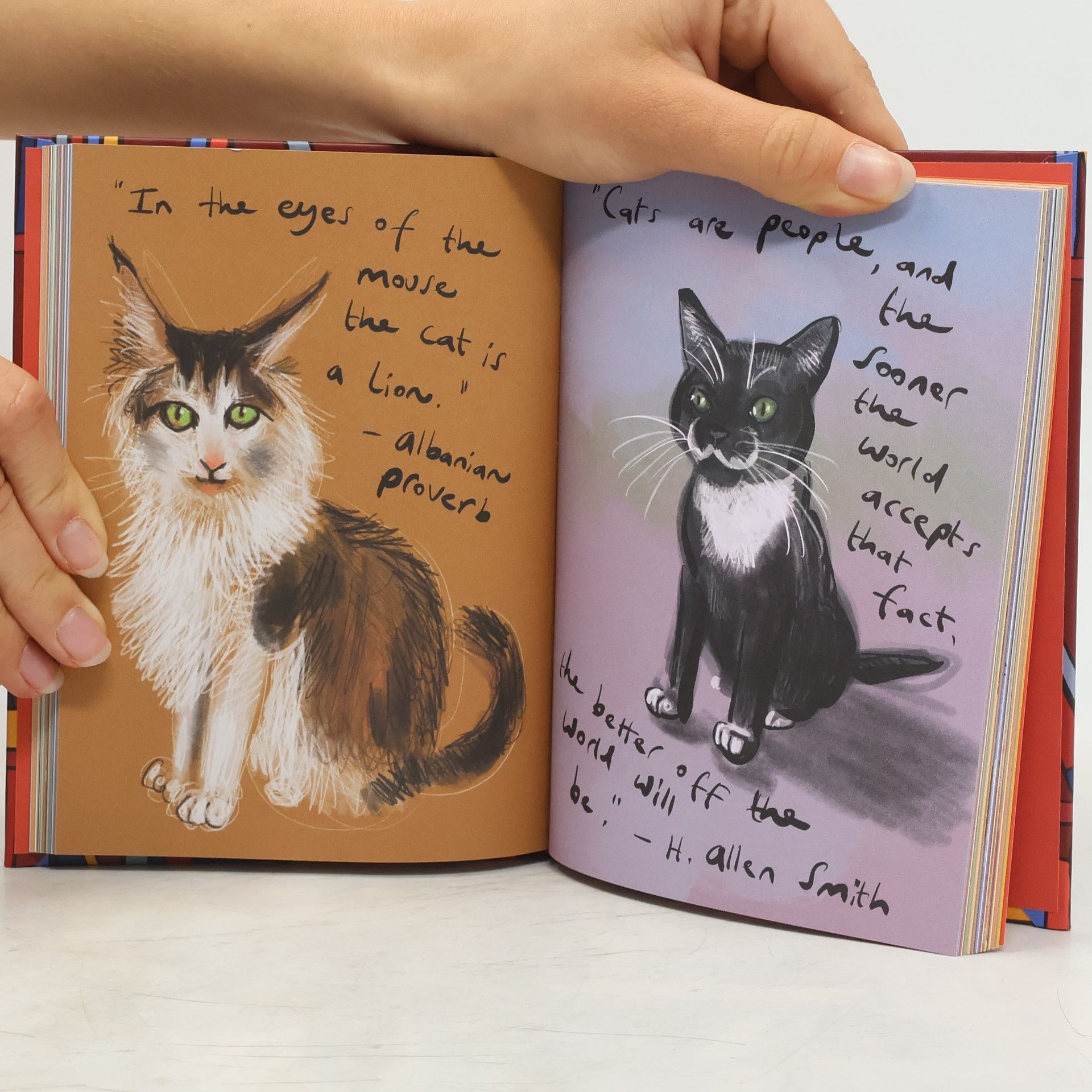 Paul Magrs Puss in Books