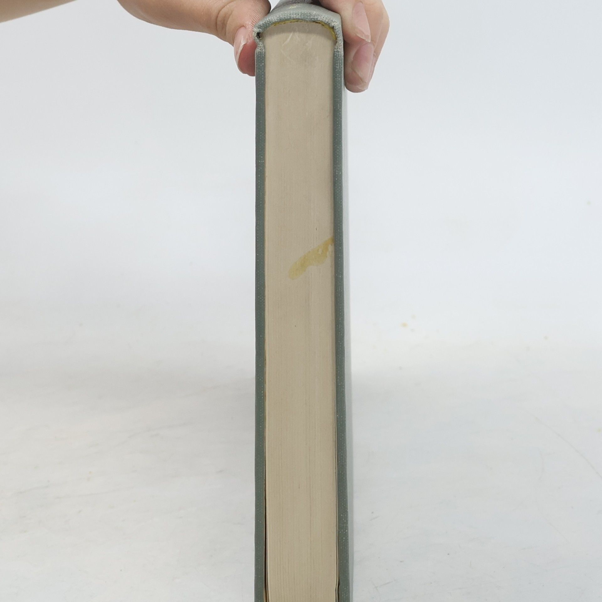 Arno Hermann Müller Lehrbuch der Paläozoologie. Band I.