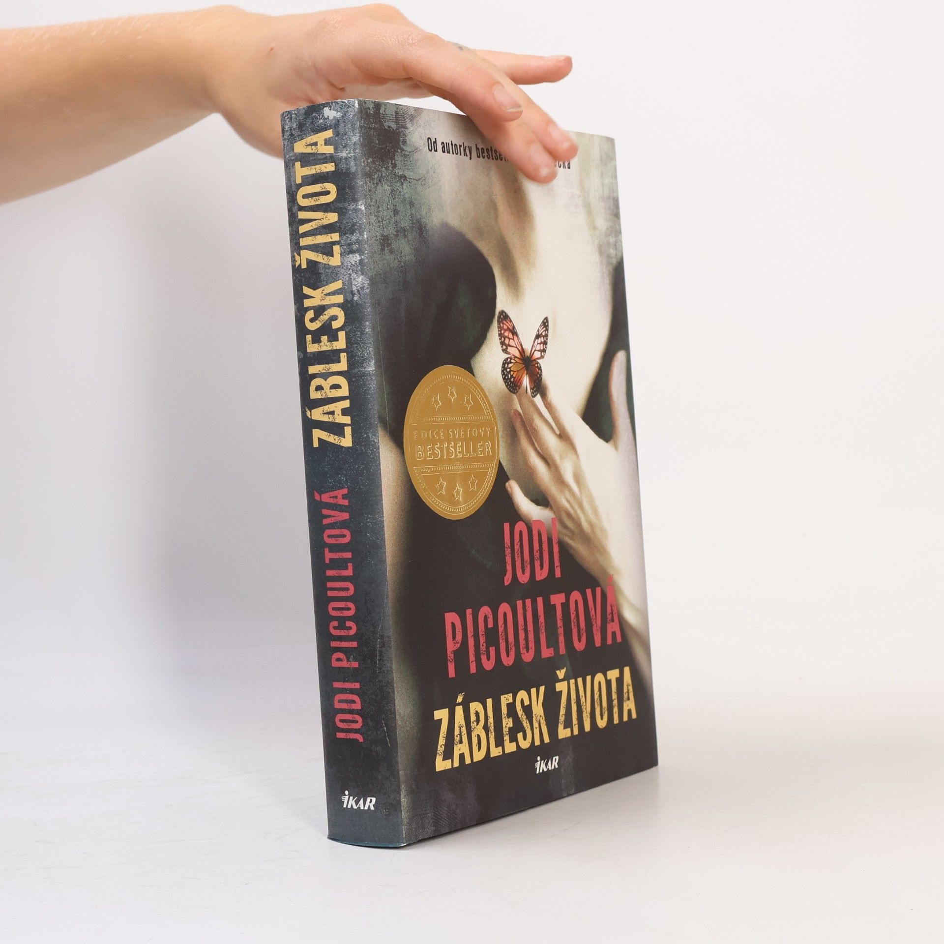 Jodi Picoult Záblesk života