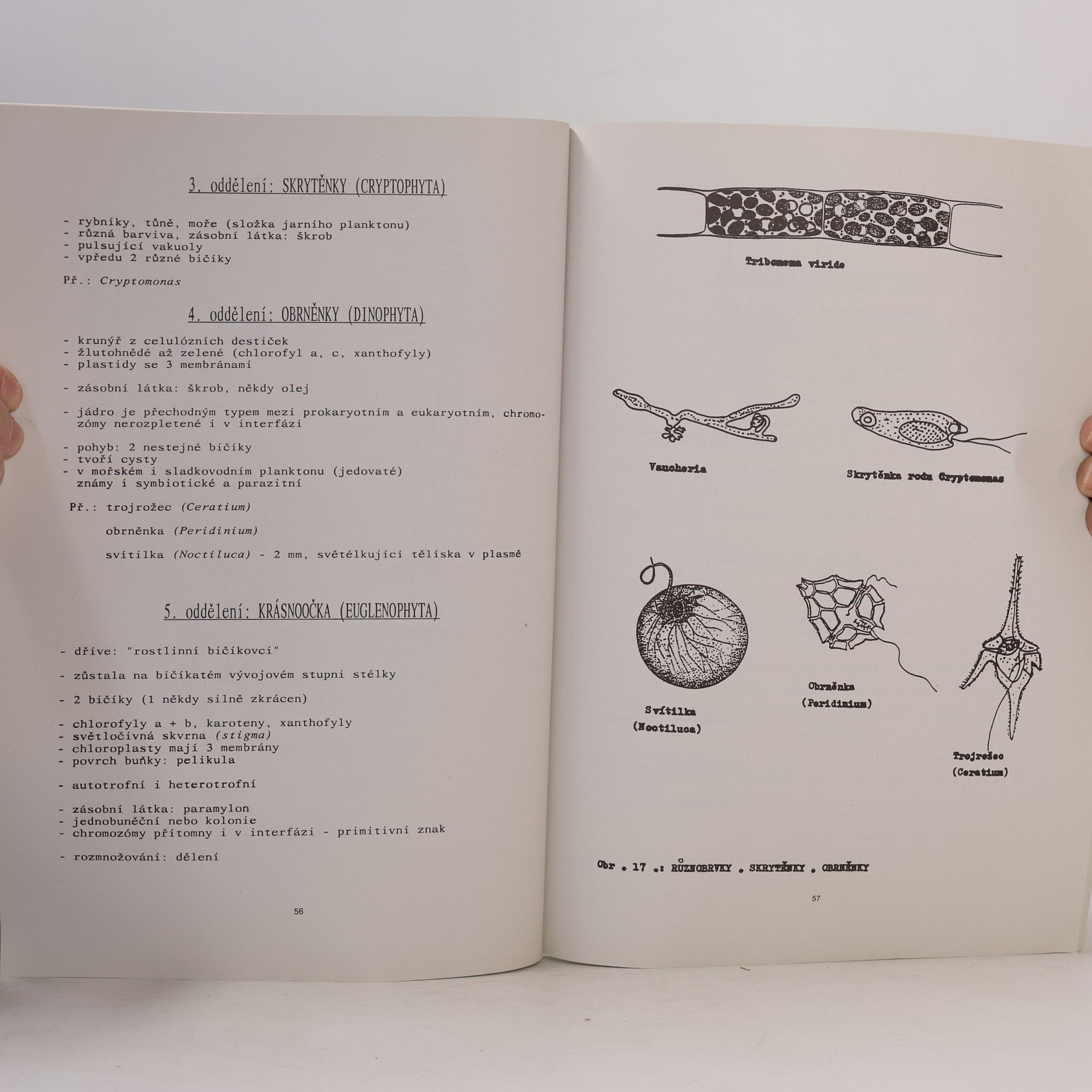 František Kislinger Biologie I : (základy mikrobiologie, botaniky a mykologie) : pracovní sešit