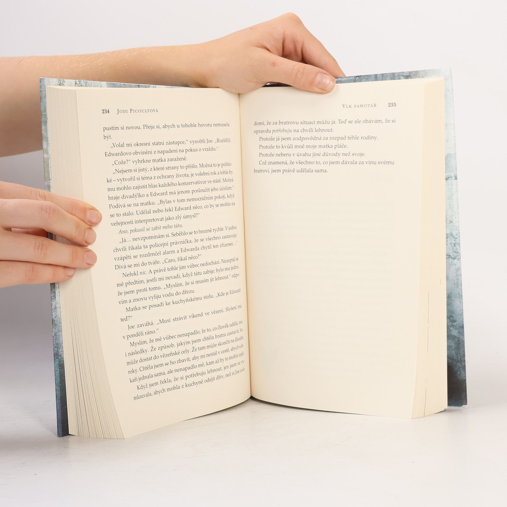 Jodi Picoult Vlk samotář
