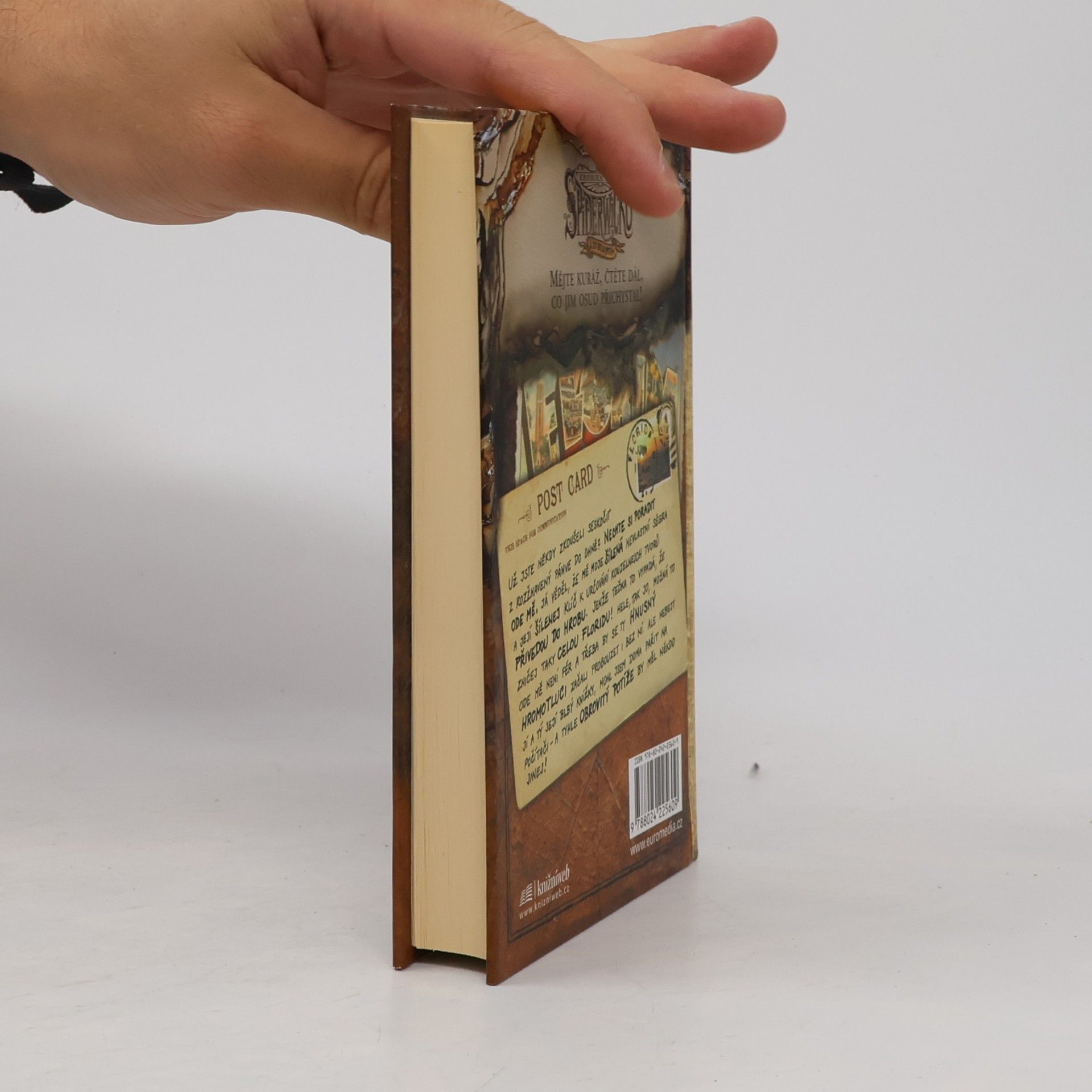 Tony DiTerlizzi Kronika rodu Spiderwicků - a co bylo potom. Kniha 2, Obrovité potíže