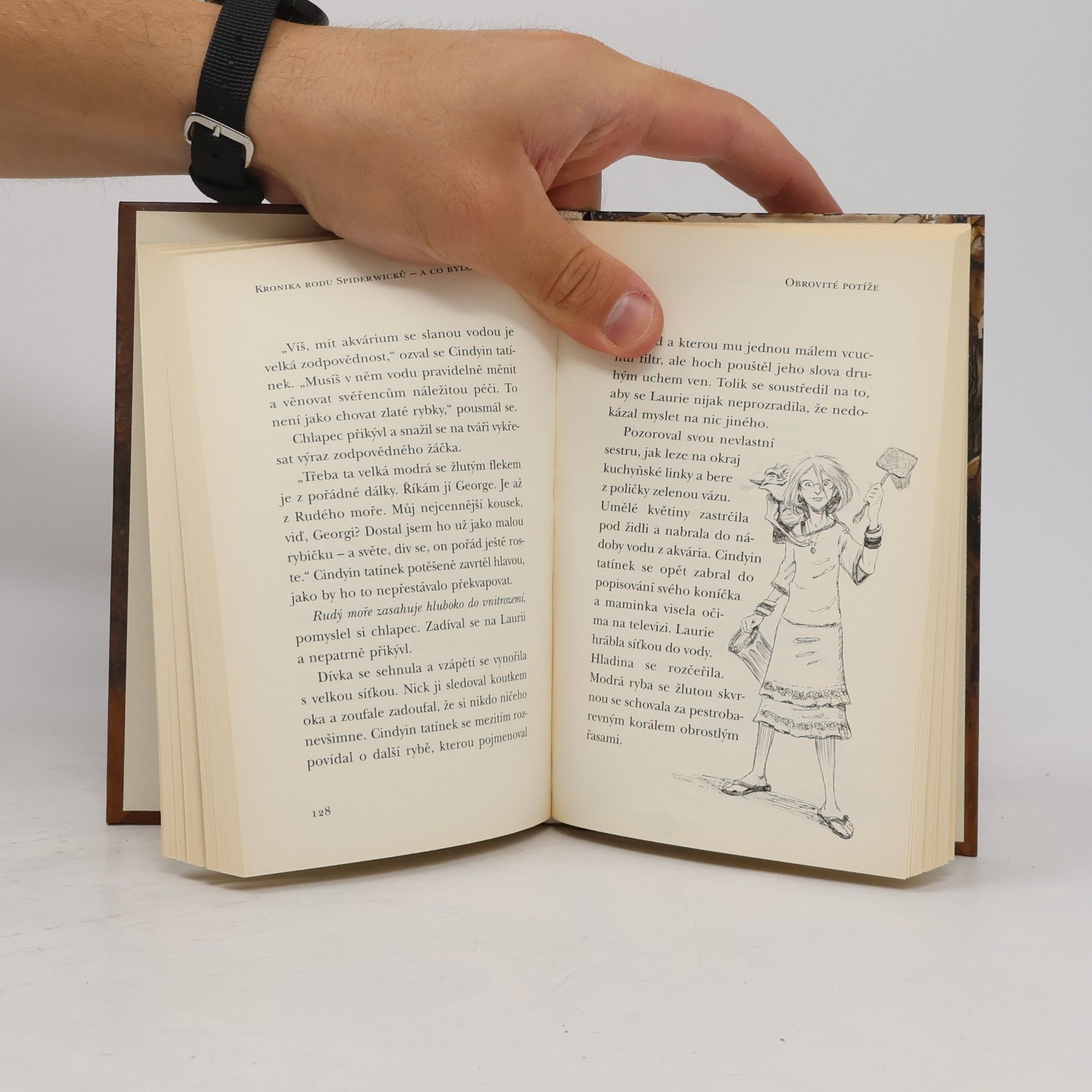 Tony DiTerlizzi Kronika rodu Spiderwicků - a co bylo potom. Kniha 2, Obrovité potíže