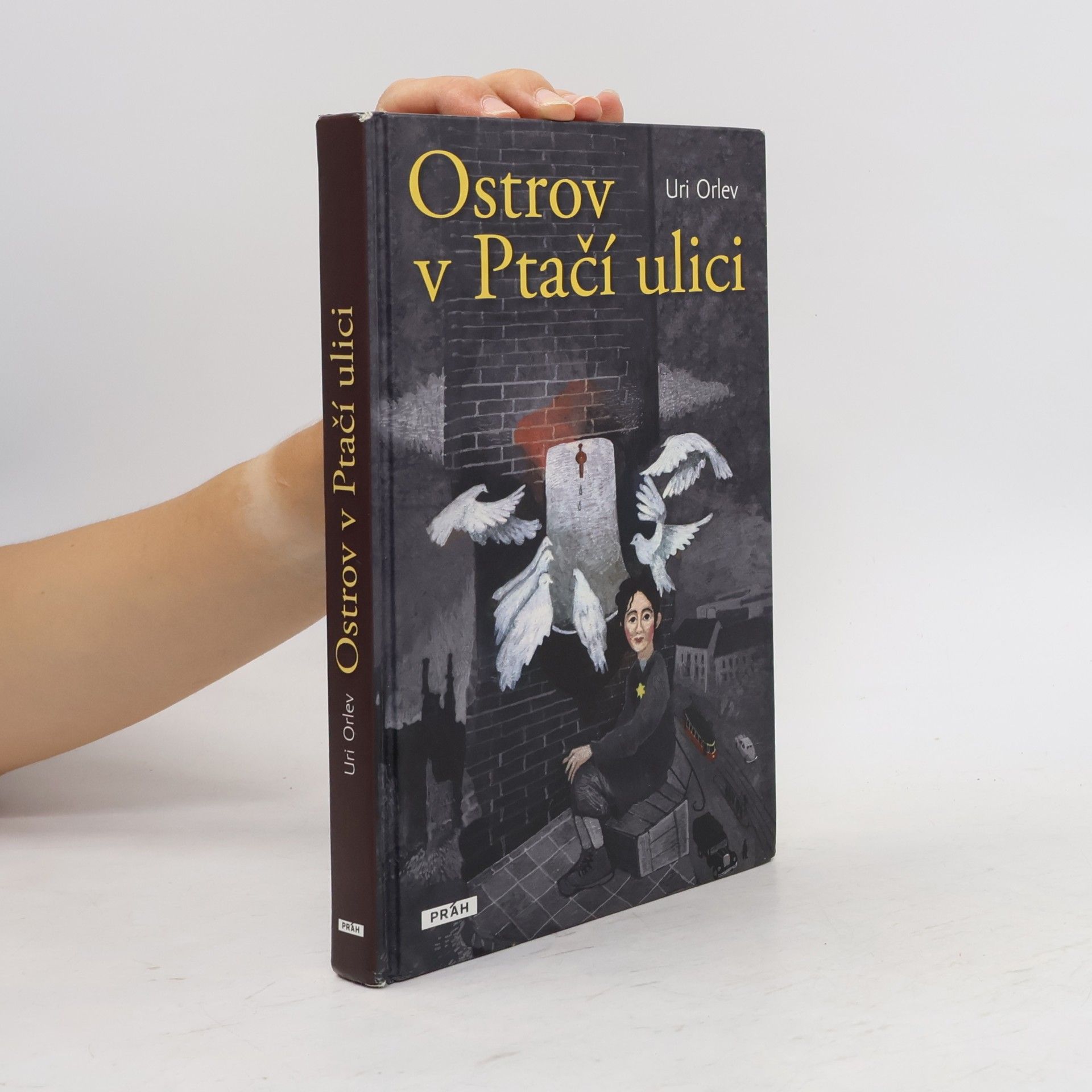 Uri Orlev Ostrov v Ptačí ulici
